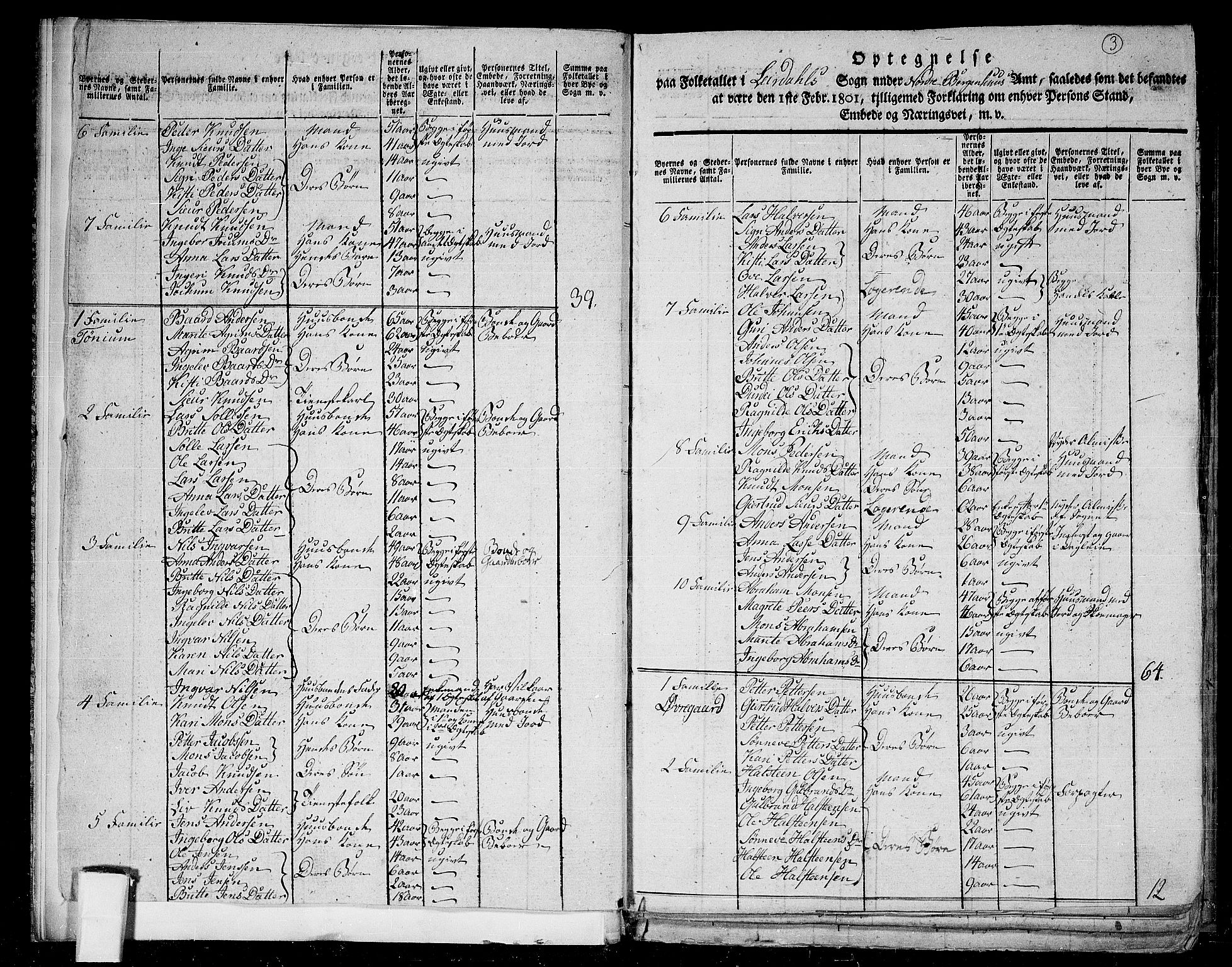 RA, 1801 census for 1422P Lærdal, 1801, p. 2b-3a