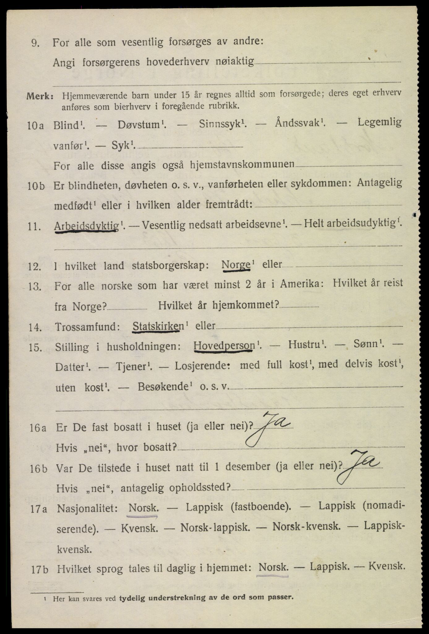 SAT, 1920 census for Bø, 1920, p. 3183