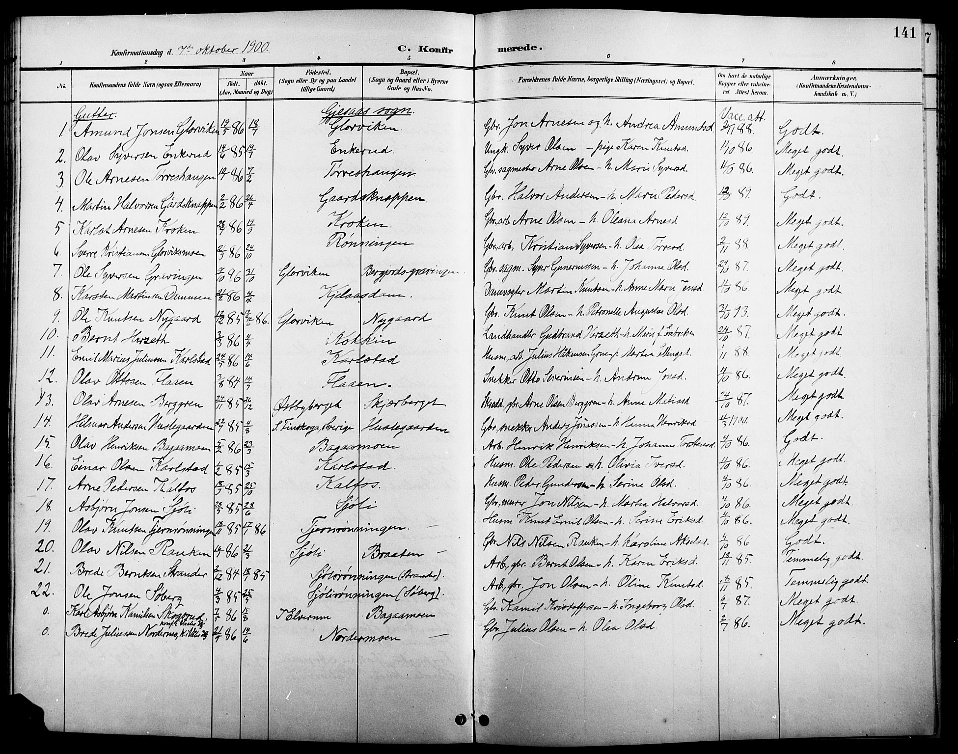 Åsnes prestekontor, SAH/PREST-042/H/Ha/Hab/L0005: Parish register (copy) no. 5, 1895-1920, p. 141
