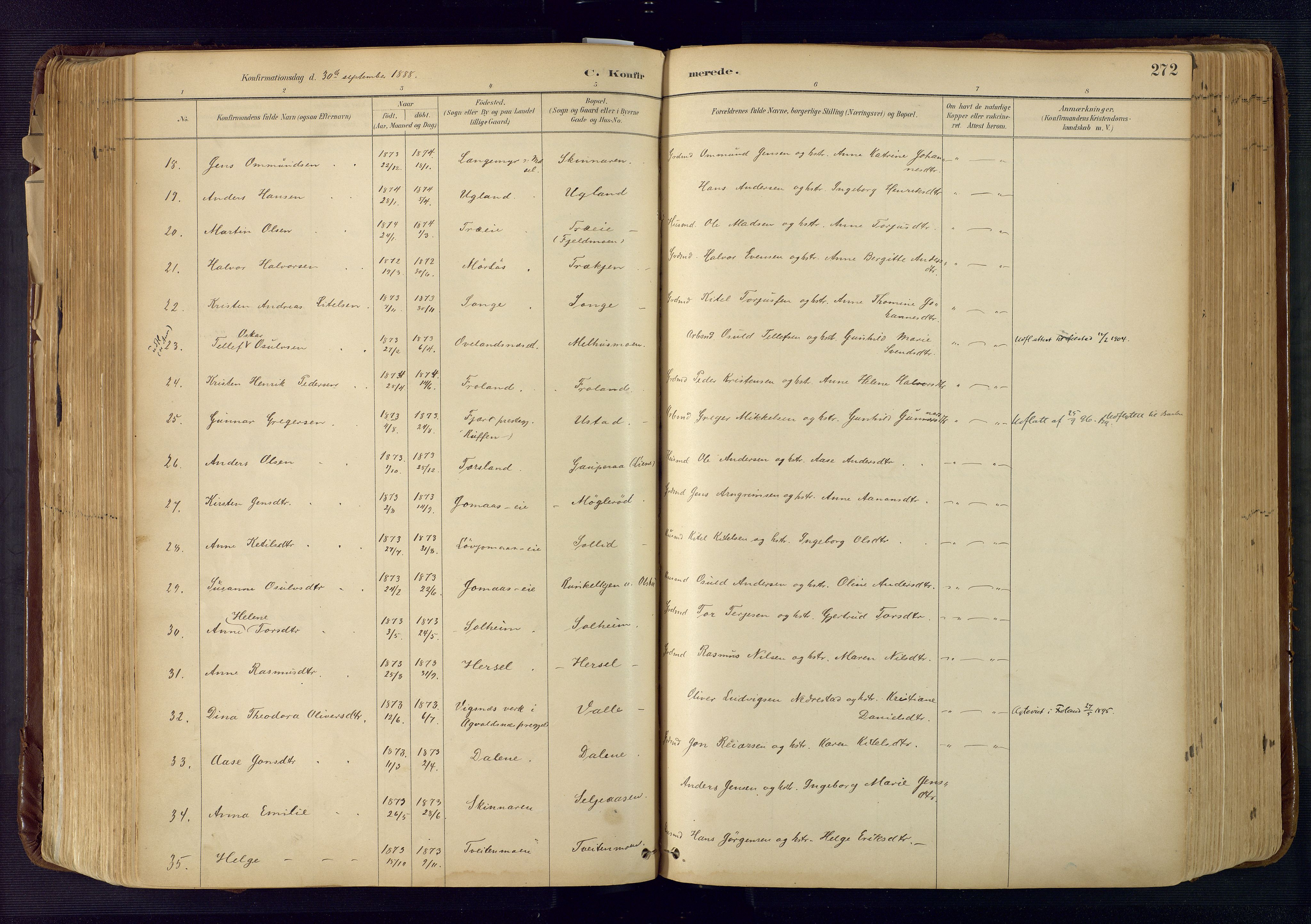 Froland sokneprestkontor, AV/SAK-1111-0013/F/Fa/L0005: Parish register (official) no. A 5, 1882-1921, p. 272