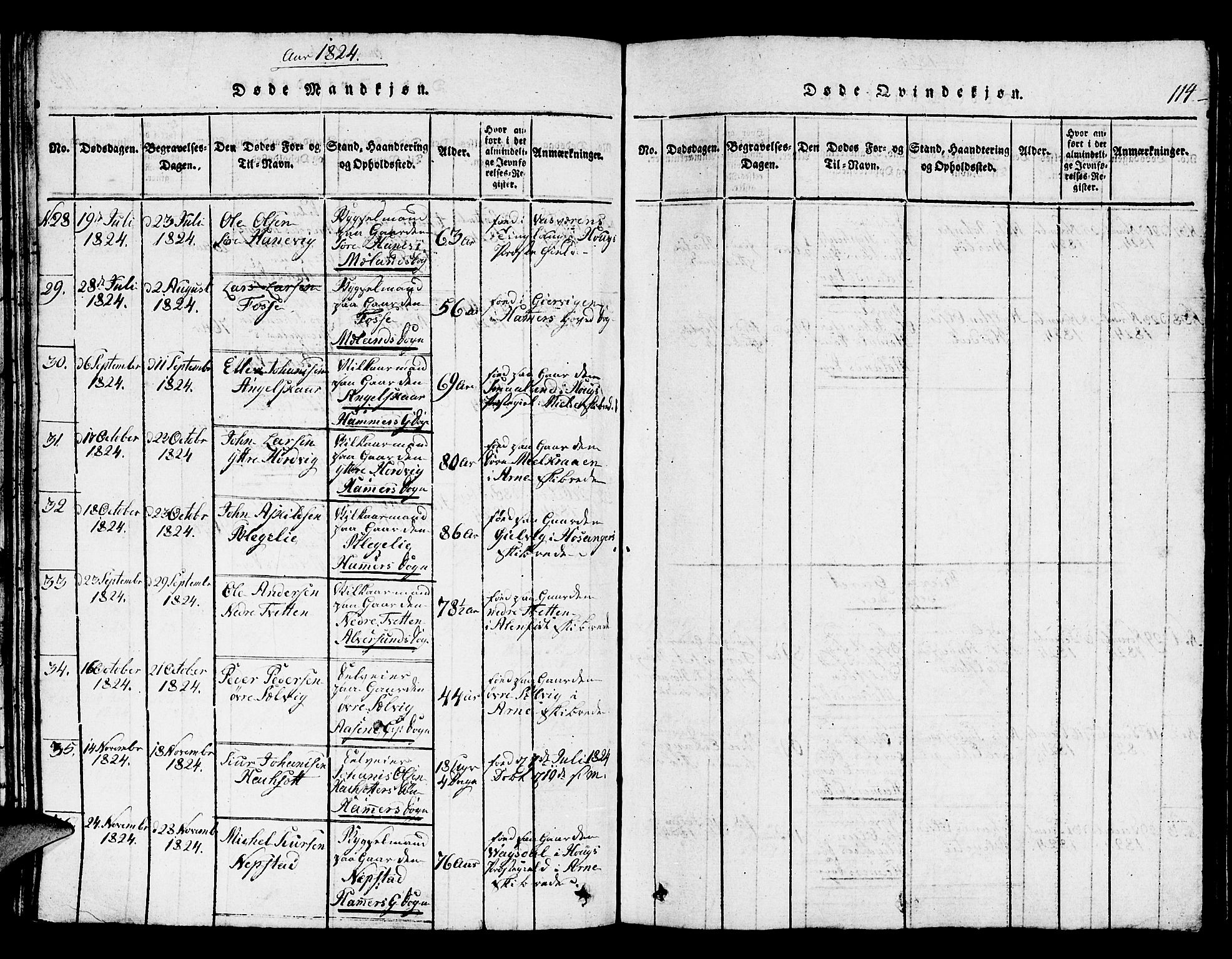 Hamre sokneprestembete, AV/SAB-A-75501/H/Ha/Hab: Parish register (copy) no. A 1, 1816-1826, p. 114