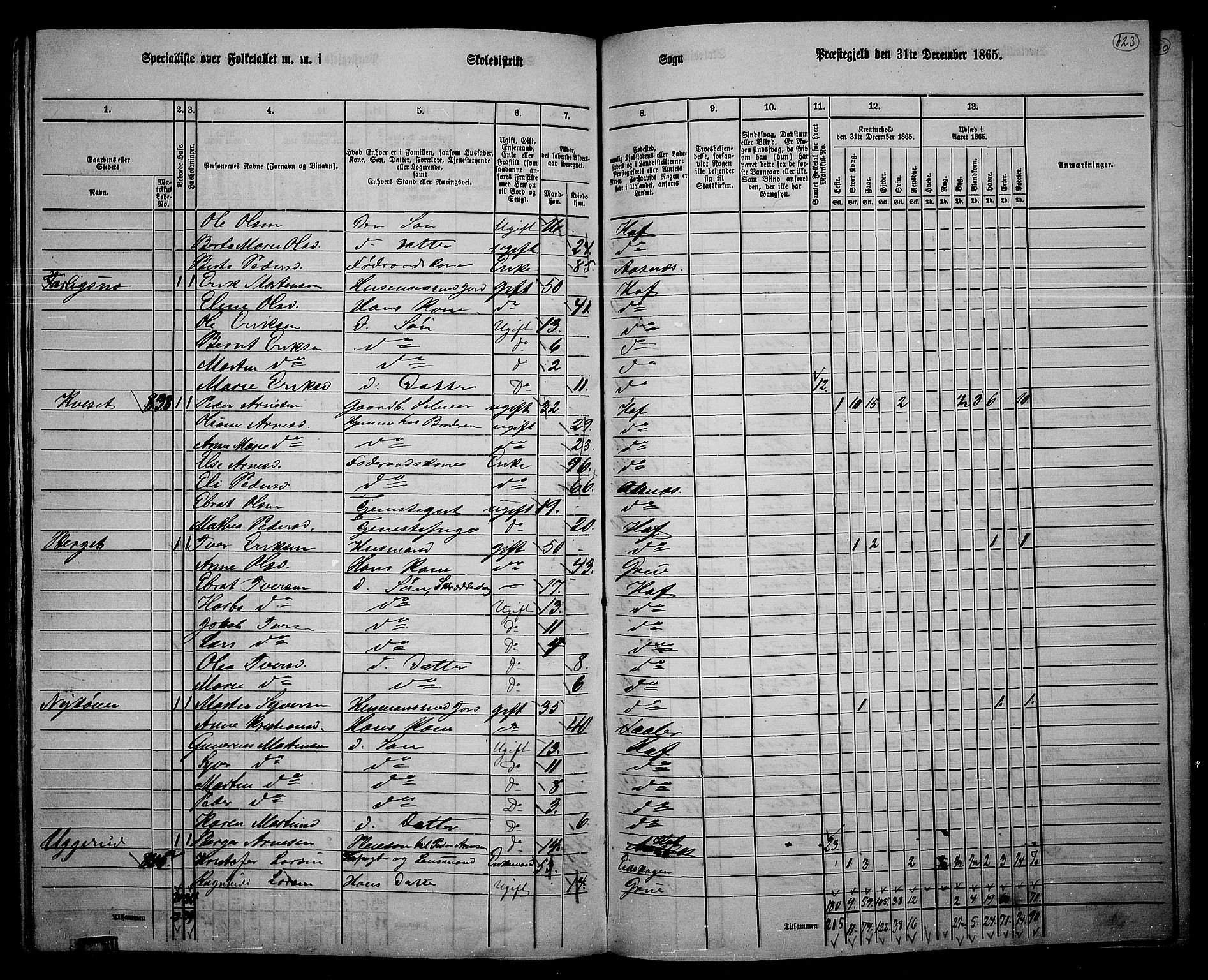 RA, 1865 census for Hof, 1865, p. 115