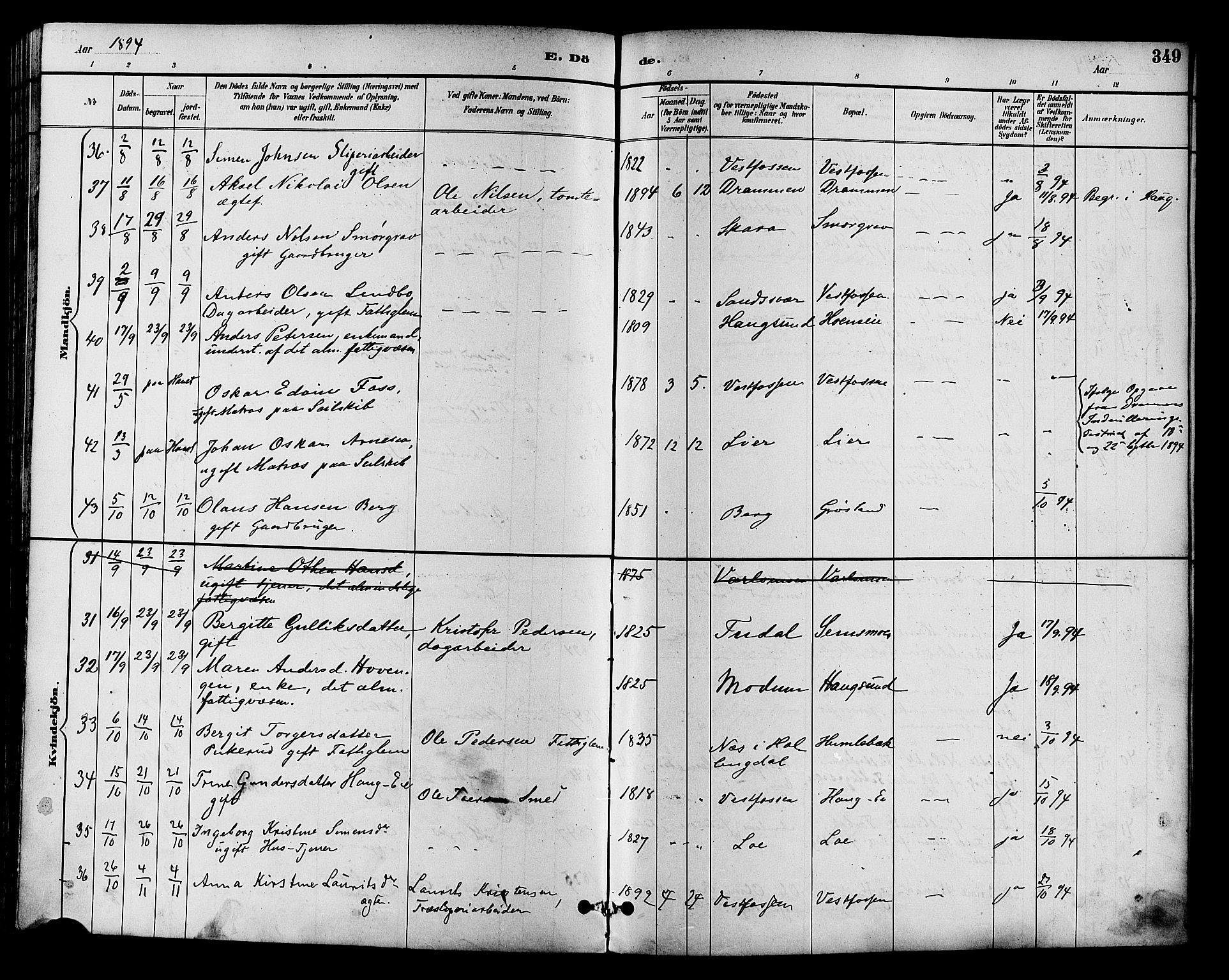 Eiker kirkebøker, SAKO/A-4/F/Fb/L0002: Parish register (official) no. II 2, 1889-1896, p. 349