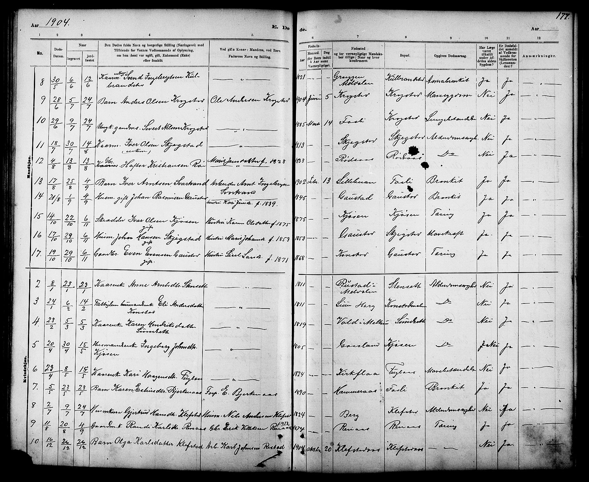 Ministerialprotokoller, klokkerbøker og fødselsregistre - Sør-Trøndelag, SAT/A-1456/694/L1132: Parish register (copy) no. 694C04, 1887-1914, p. 177