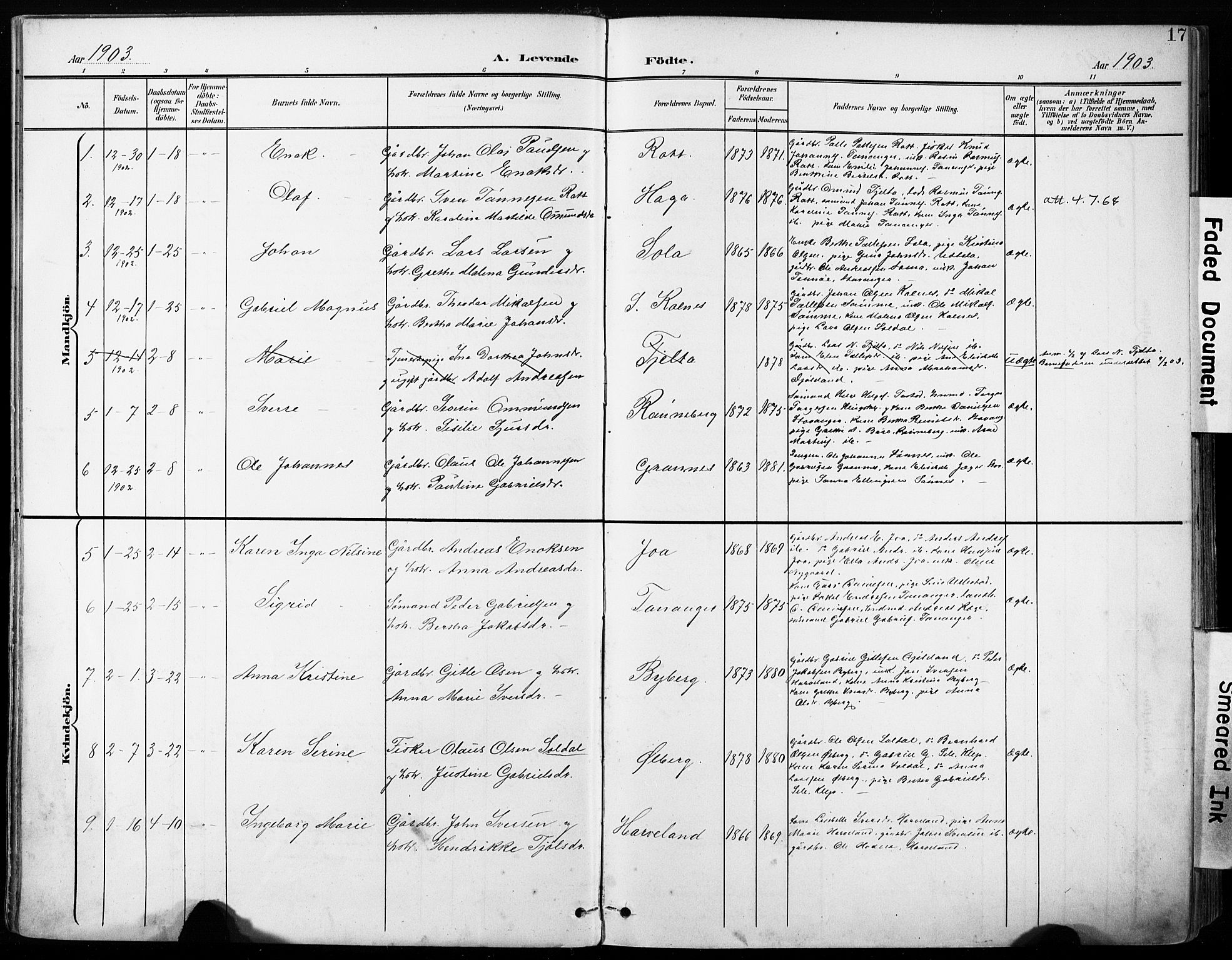 Håland sokneprestkontor, SAST/A-101802/001/30BA/L0013: Parish register (official) no. A 12, 1901-1913, p. 17