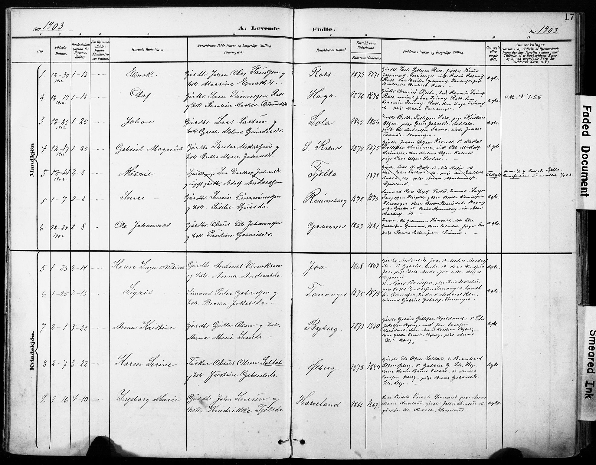 Håland sokneprestkontor, AV/SAST-A-101802/001/30BA/L0013: Parish register (official) no. A 12, 1901-1913, p. 17