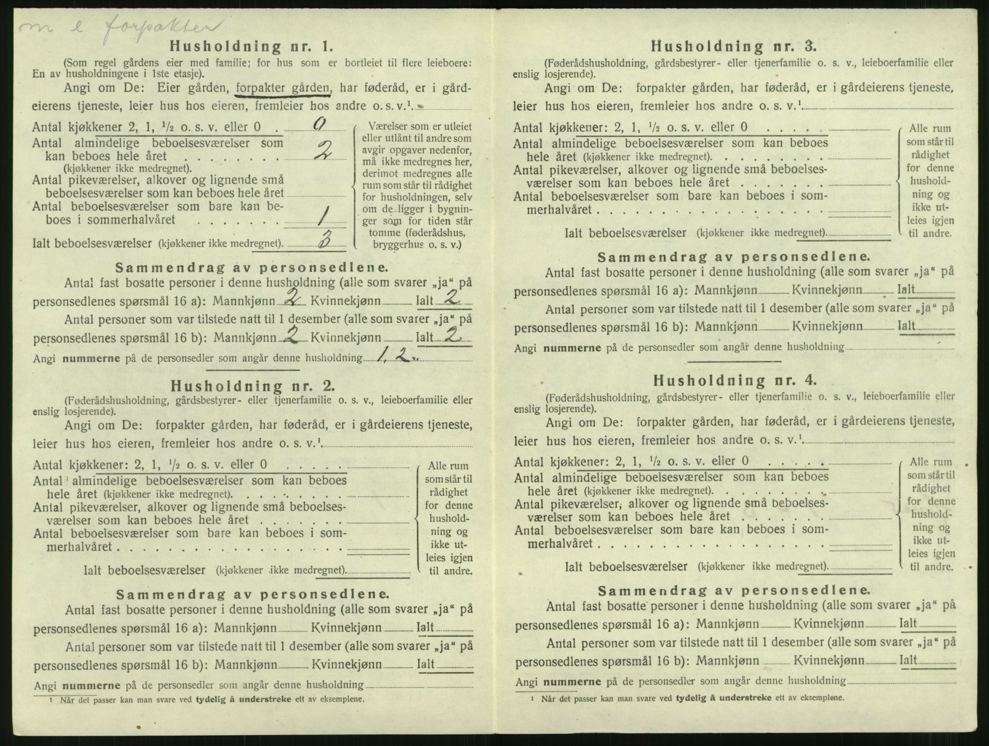 SAT, 1920 census for Nesset, 1920, p. 307