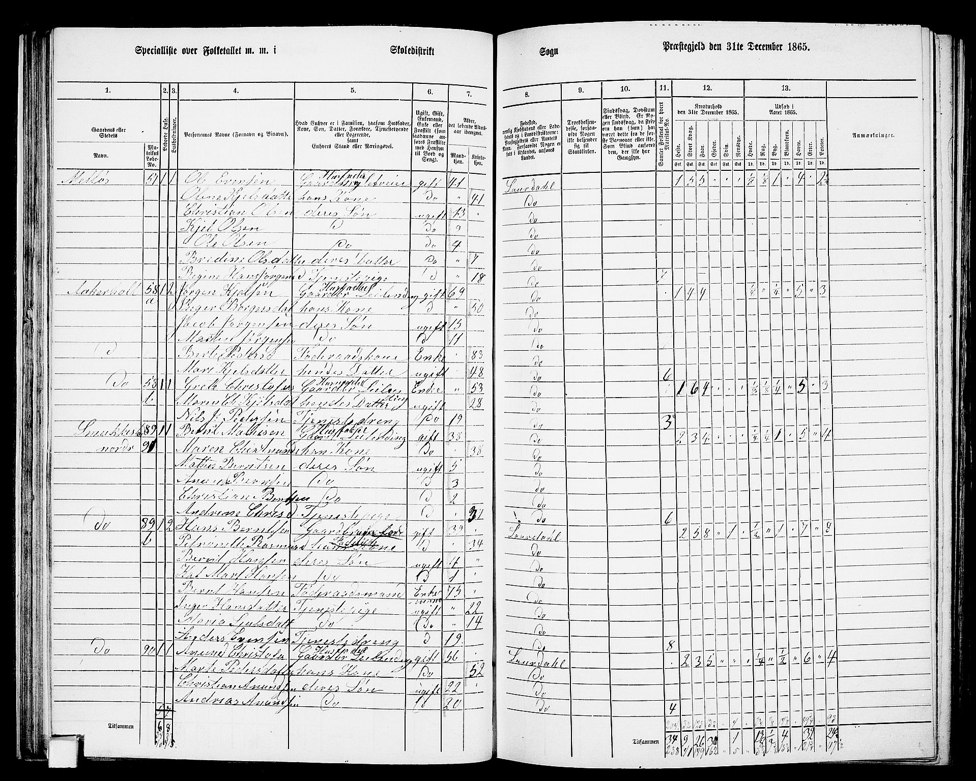 RA, 1865 census for Lardal, 1865, p. 38