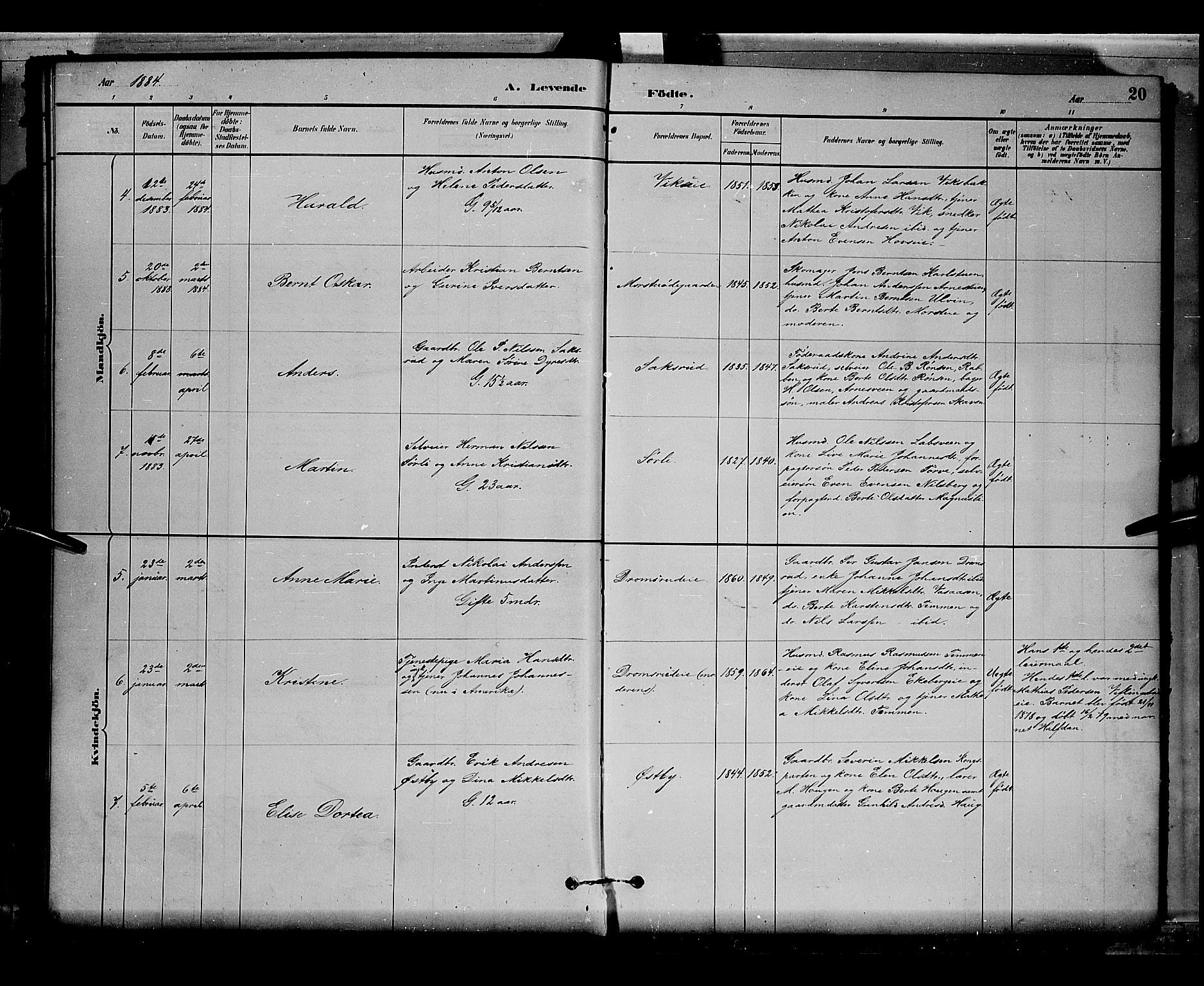 Stange prestekontor, AV/SAH-PREST-002/L/L0008: Parish register (copy) no. 8, 1882-1895, p. 20