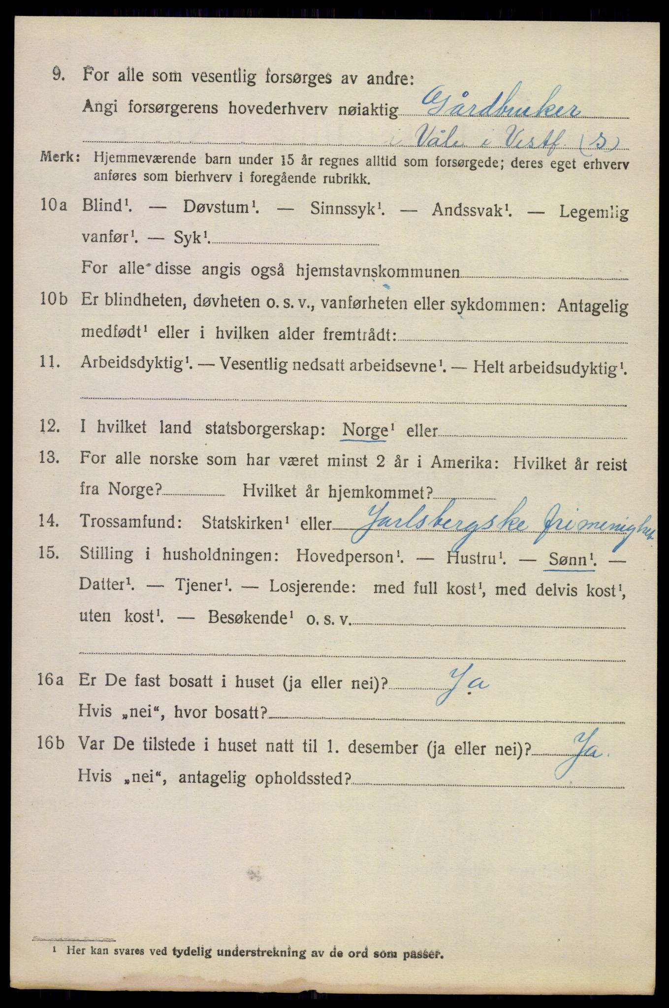 SAKO, 1920 census for Våle, 1920, p. 2299