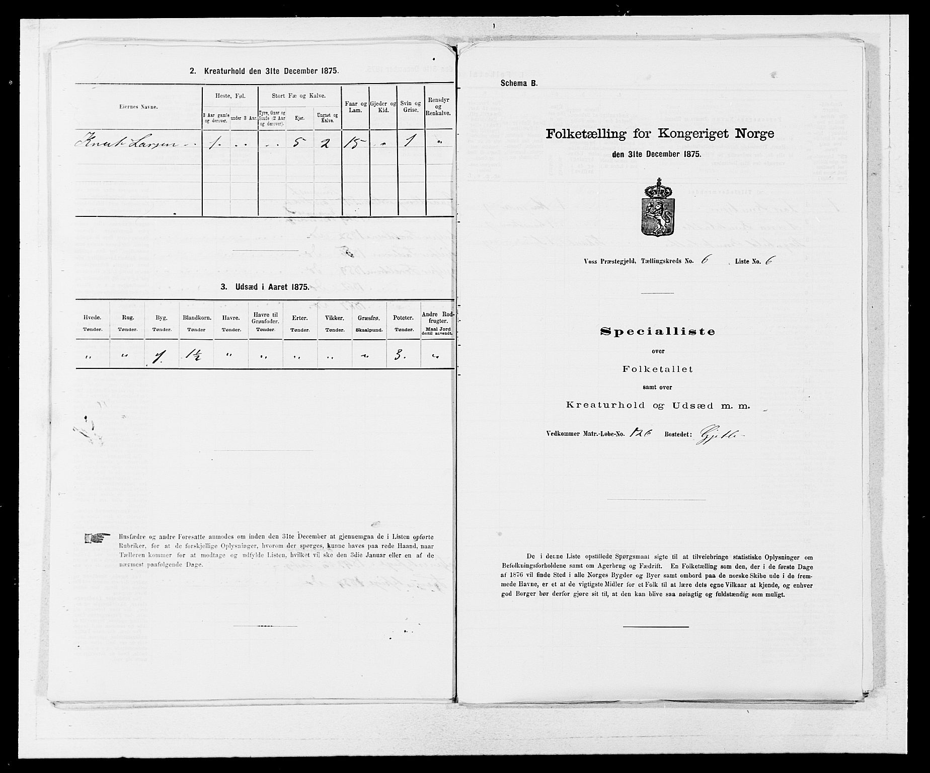 SAB, 1875 census for 1235P Voss, 1875, p. 2229