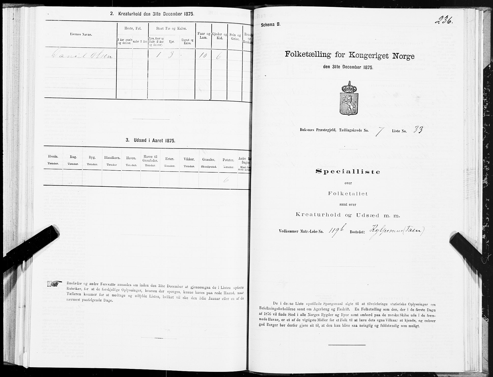 SAT, 1875 census for 1860P Buksnes, 1875, p. 3236