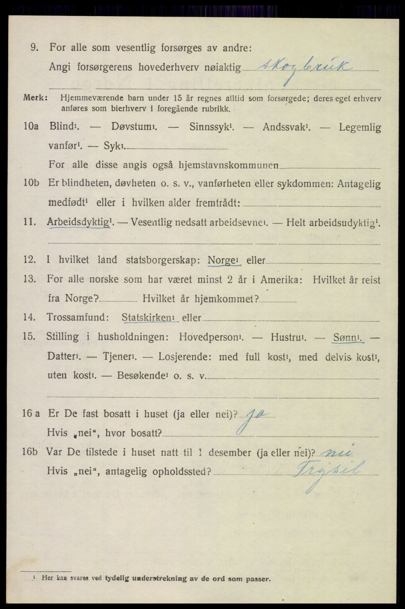 SAH, 1920 census for Trysil, 1920, p. 12832