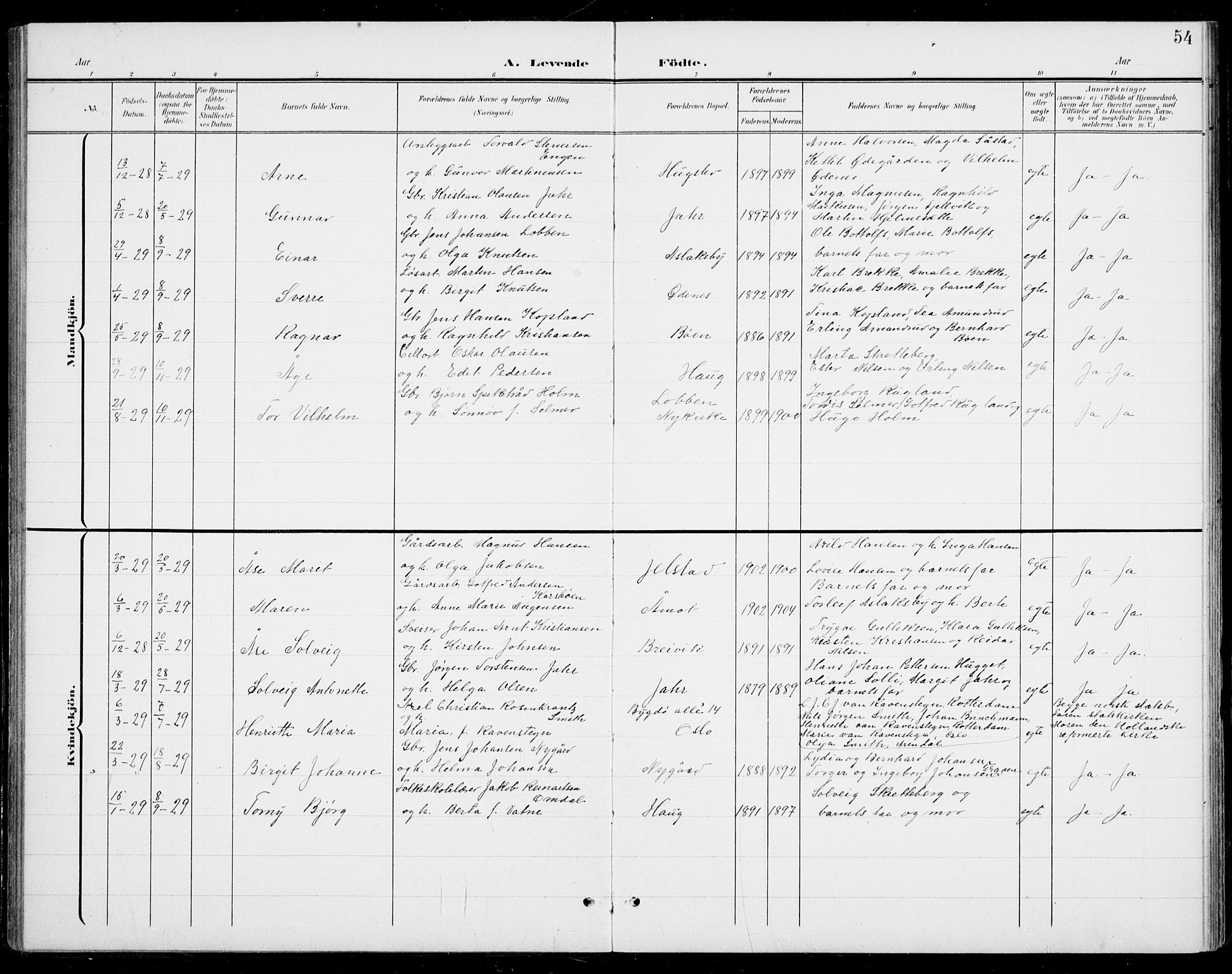 Modum kirkebøker, AV/SAKO-A-234/G/Gb/L0001: Parish register (copy) no. II 1, 1901-1942, p. 54