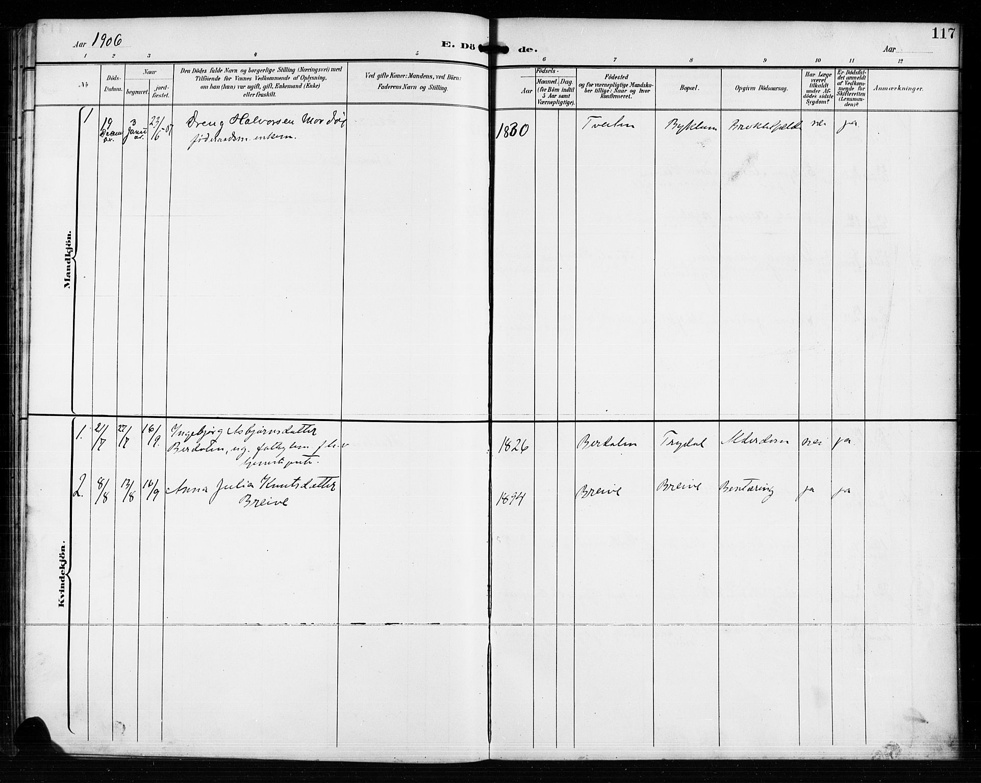 Valle sokneprestkontor, AV/SAK-1111-0044/F/Fb/Fba/L0003: Parish register (copy) no. B 3, 1895-1916, p. 117