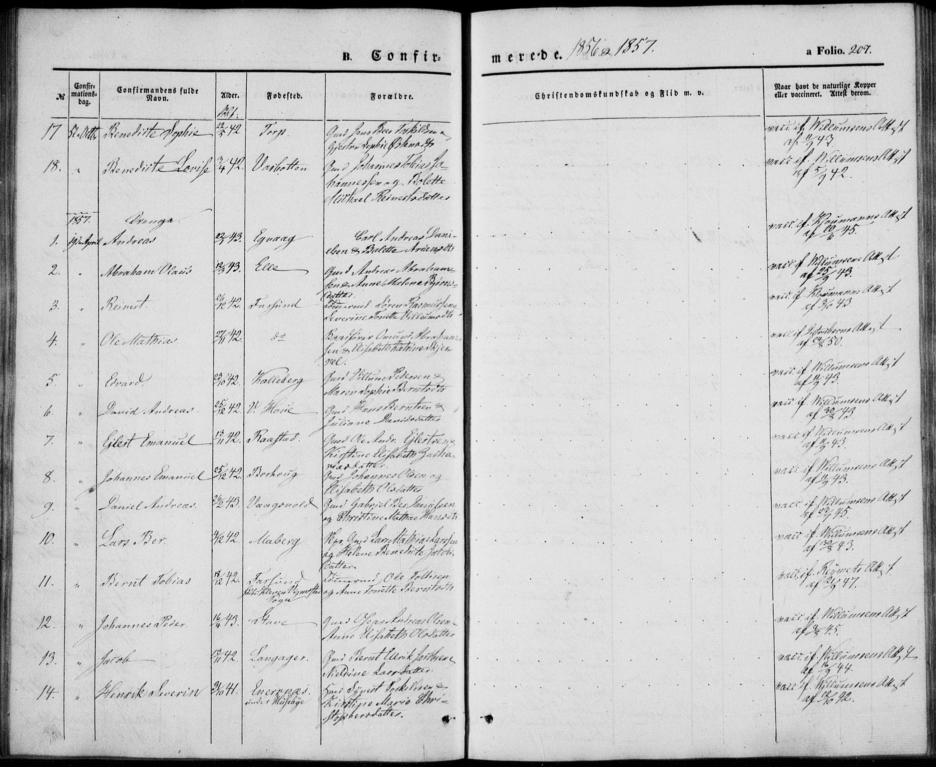 Lista sokneprestkontor, AV/SAK-1111-0027/F/Fb/L0002: Parish register (copy) no. B 2, 1847-1862, p. 207