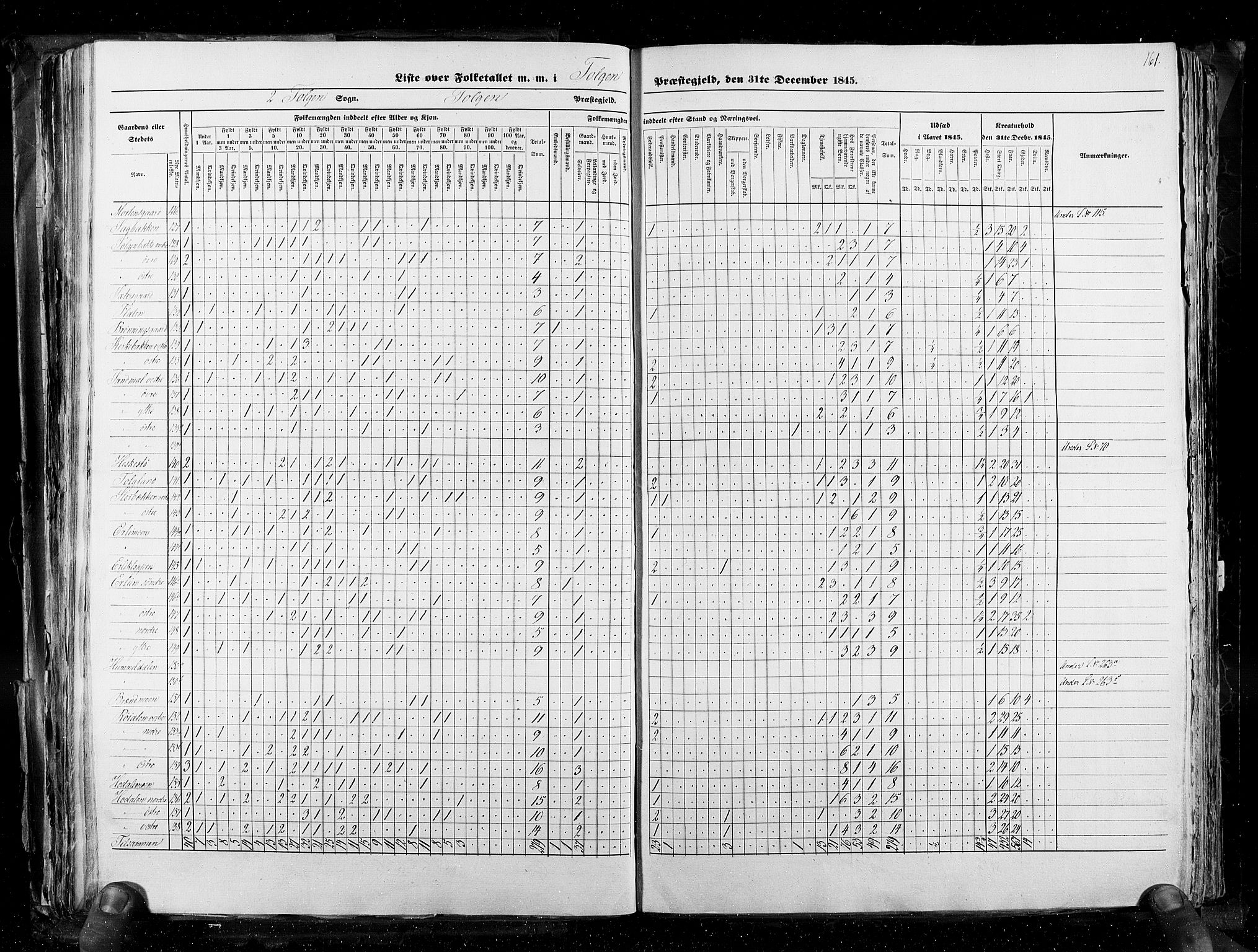 RA, Census 1845, vol. 3: Hedemarken amt og Kristians amt, 1845, p. 161