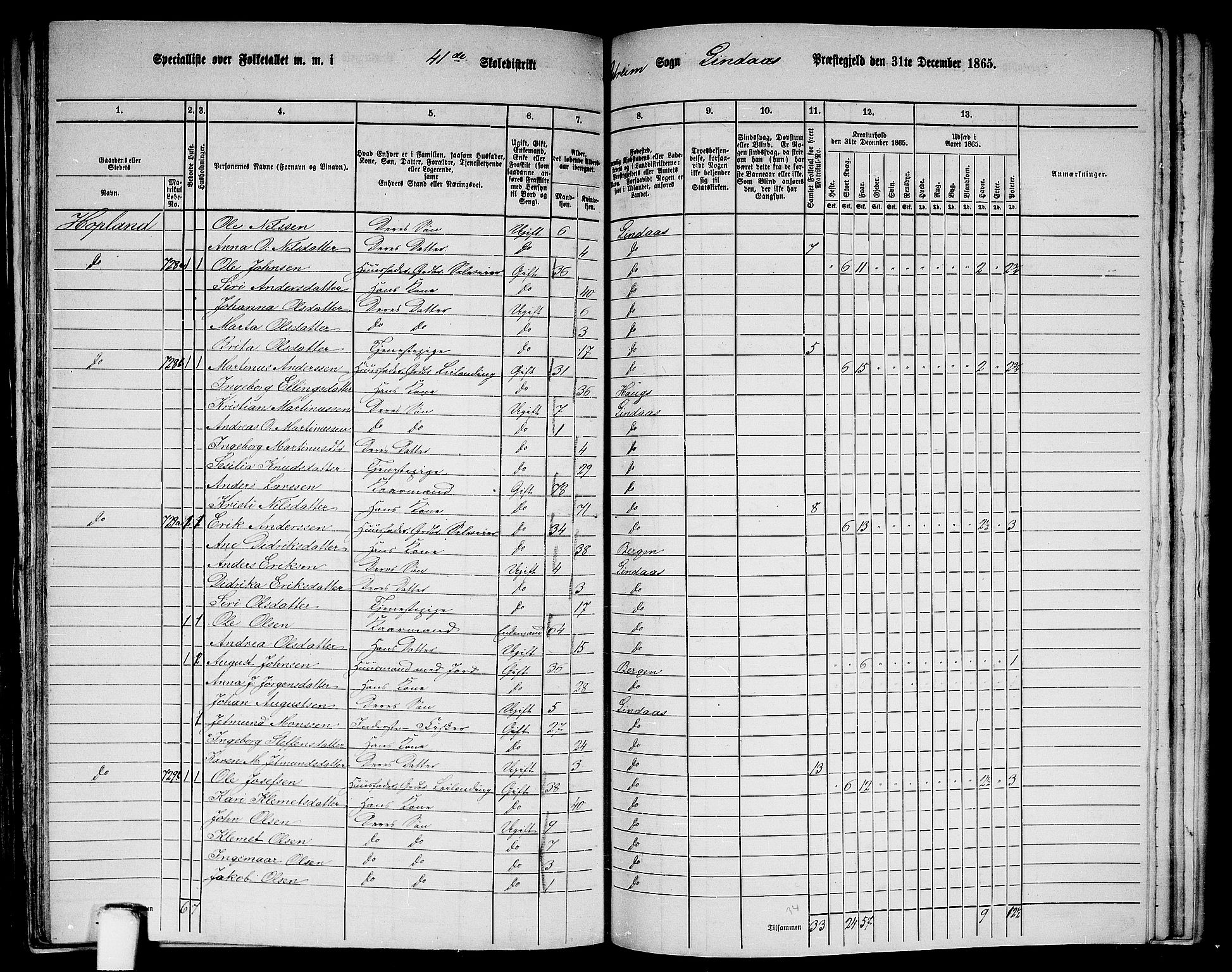 RA, 1865 census for Lindås, 1865, p. 262