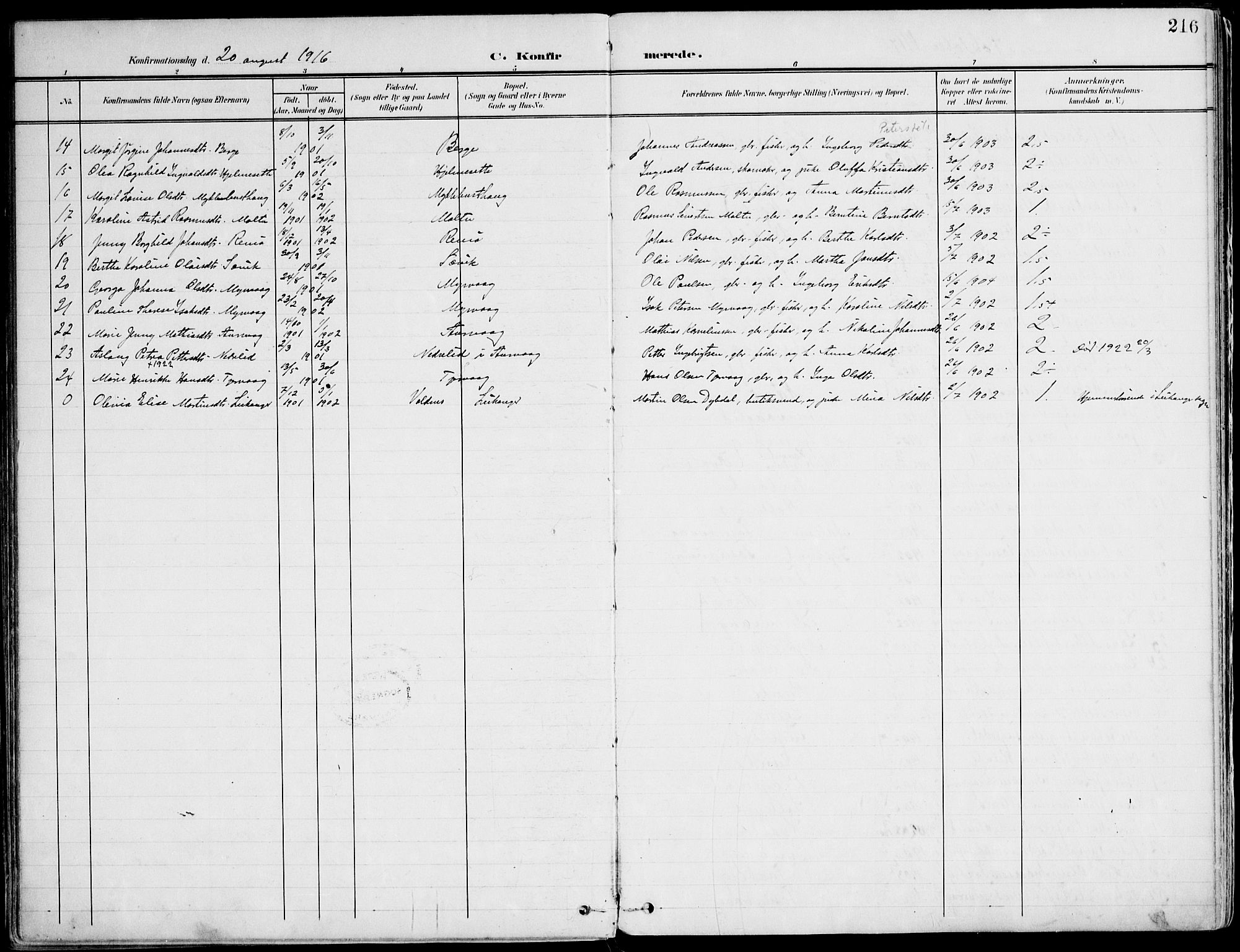 Ministerialprotokoller, klokkerbøker og fødselsregistre - Møre og Romsdal, SAT/A-1454/507/L0075: Parish register (official) no. 507A10, 1901-1920, p. 216