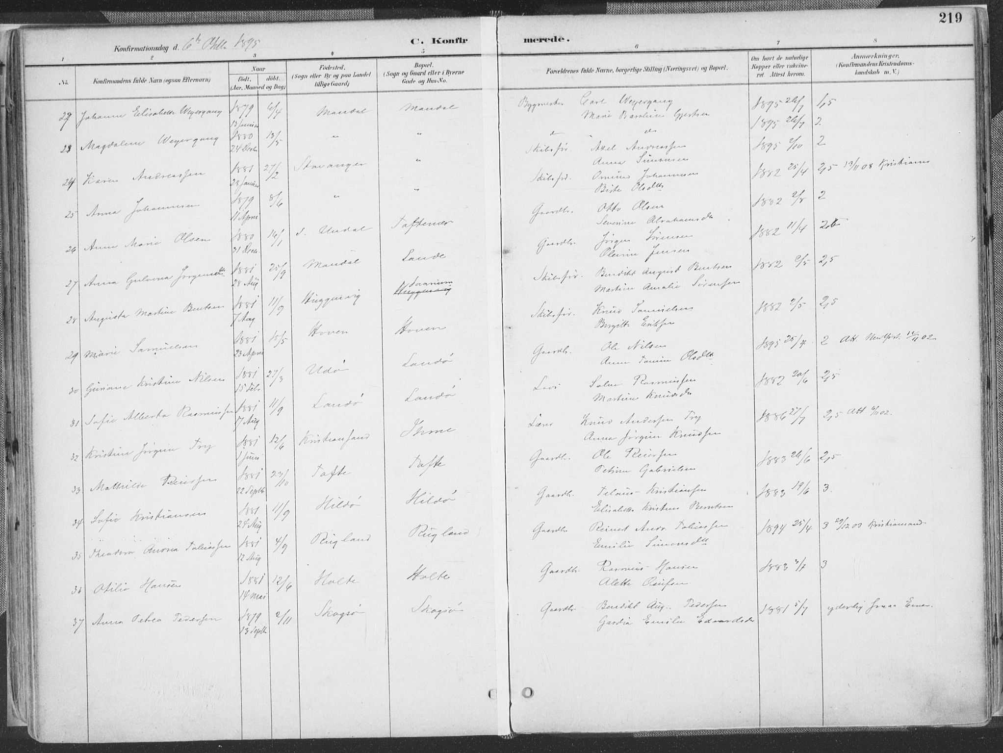 Mandal sokneprestkontor, SAK/1111-0030/F/Fa/Faa/L0018: Parish register (official) no. A 18, 1890-1905, p. 219