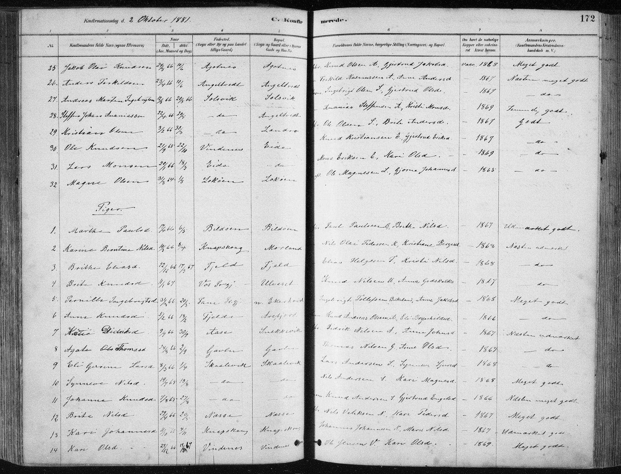 Fjell sokneprestembete, SAB/A-75301/H/Haa: Parish register (official) no. A  8, 1878-1898, p. 172