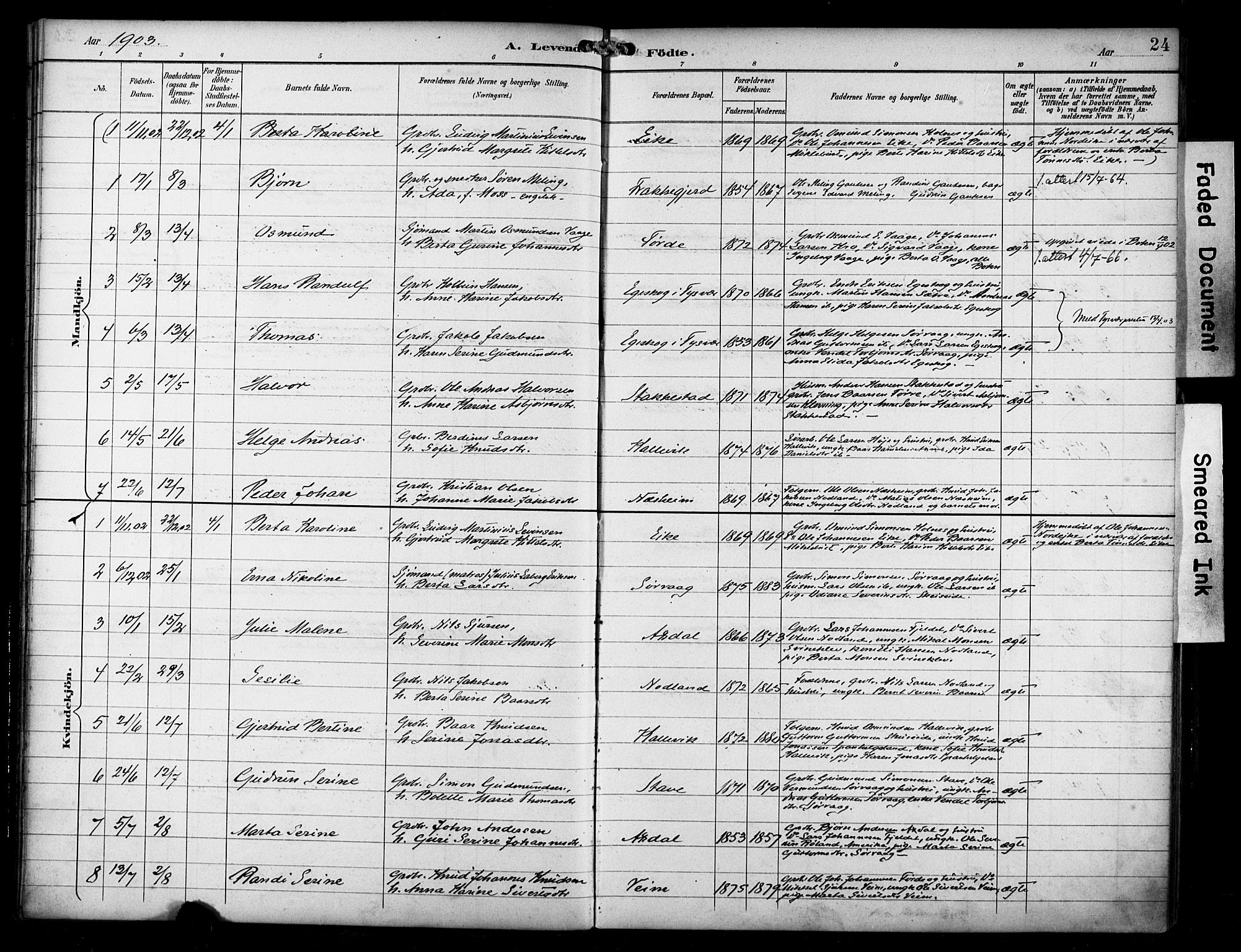 Avaldsnes sokneprestkontor, SAST/A -101851/H/Ha/Haa/L0016: Parish register (official) no. A 16, 1893-1918, p. 24