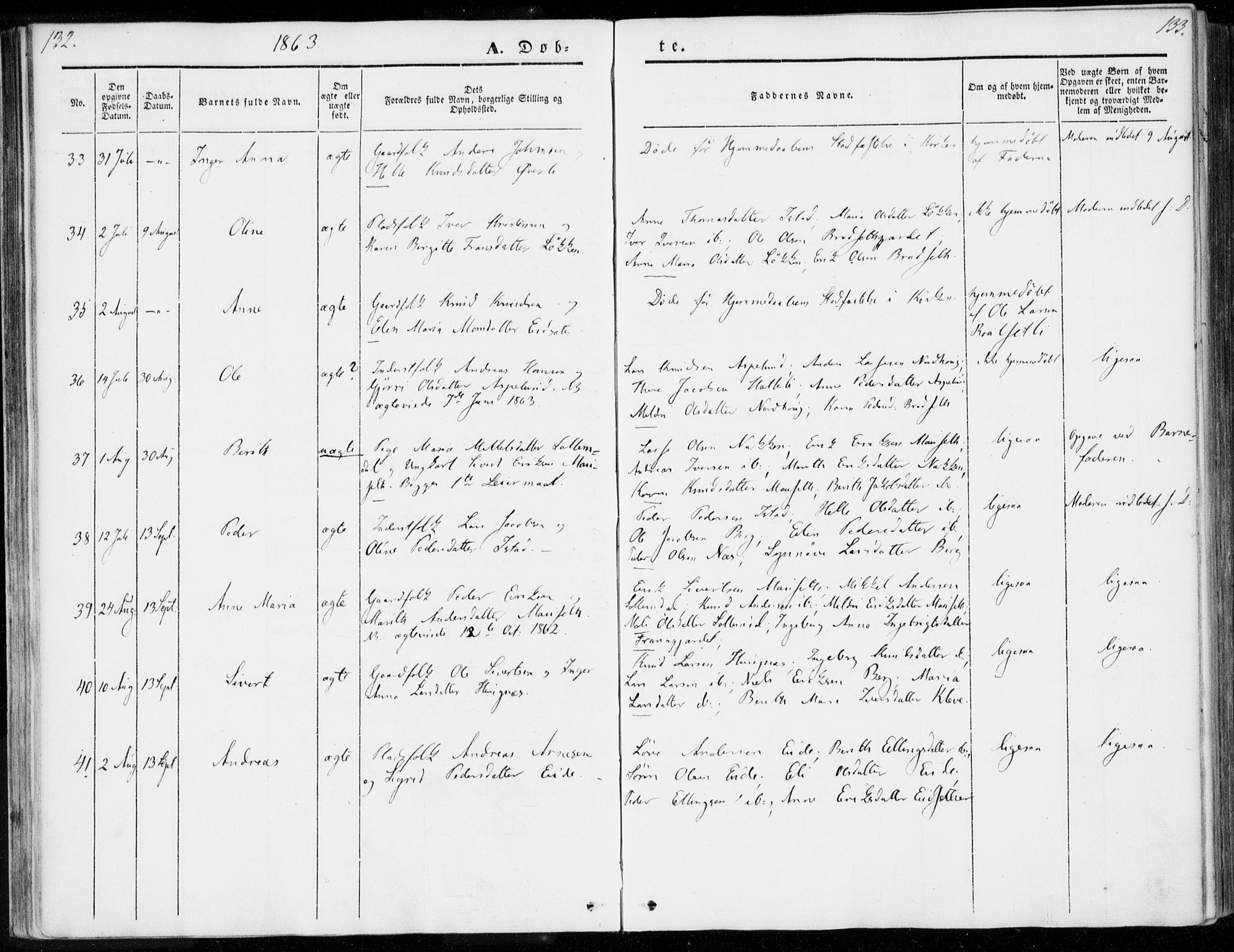 Ministerialprotokoller, klokkerbøker og fødselsregistre - Møre og Romsdal, AV/SAT-A-1454/557/L0680: Parish register (official) no. 557A02, 1843-1869, p. 132-133