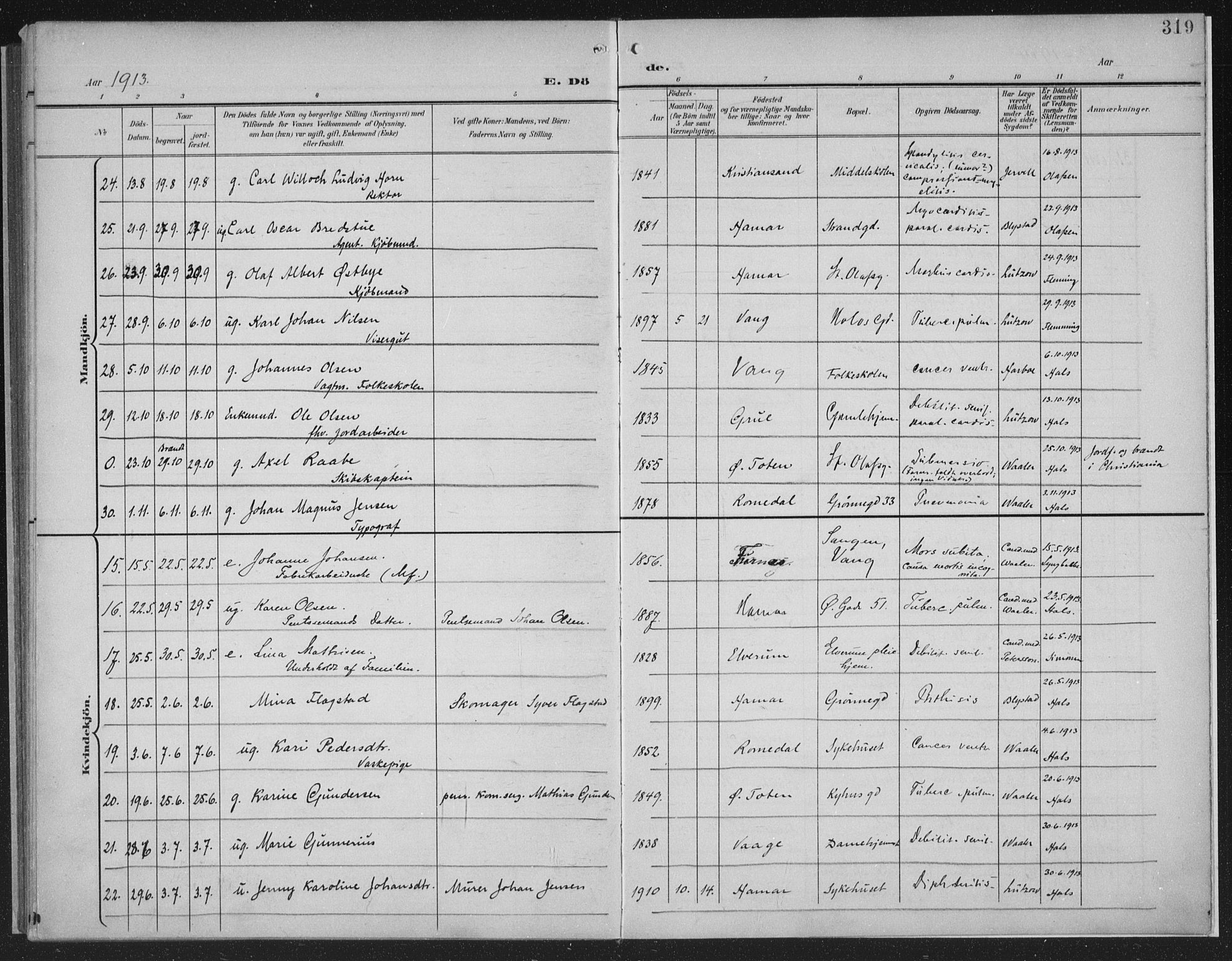 Hamar prestekontor, AV/SAH-DOMPH-002/H/Ha/Haa/L0001: Parish register (official) no. 1, 1900-1914, p. 319