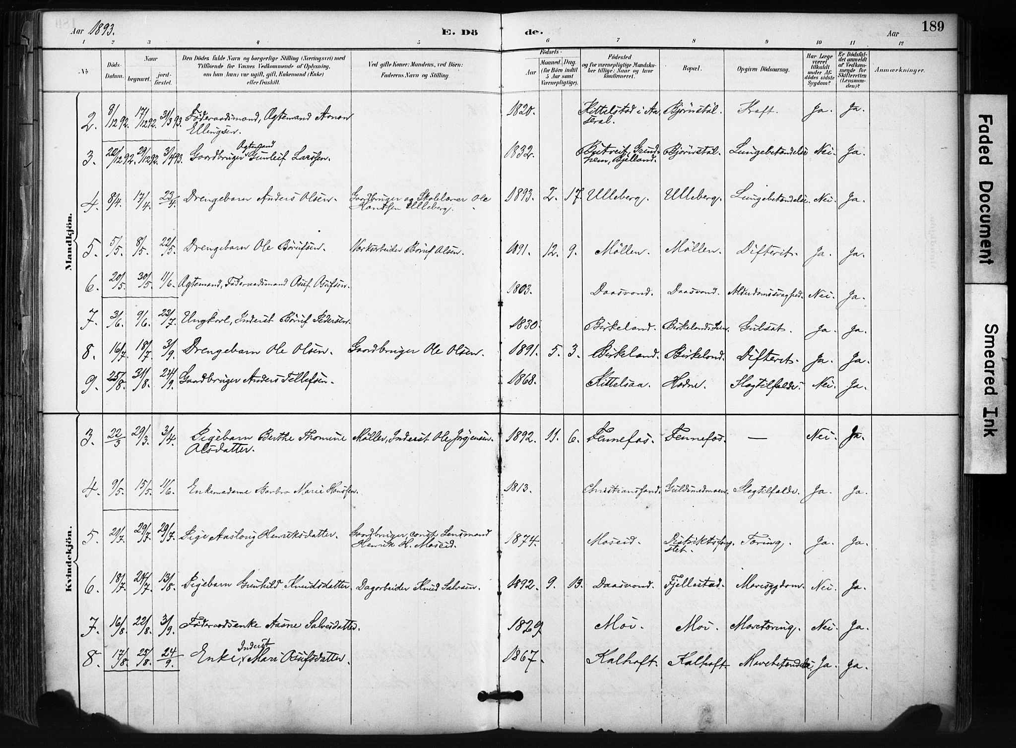 Evje sokneprestkontor, SAK/1111-0008/F/Fa/Fab/L0003: Parish register (official) no. A 3, 1884-1909, p. 189