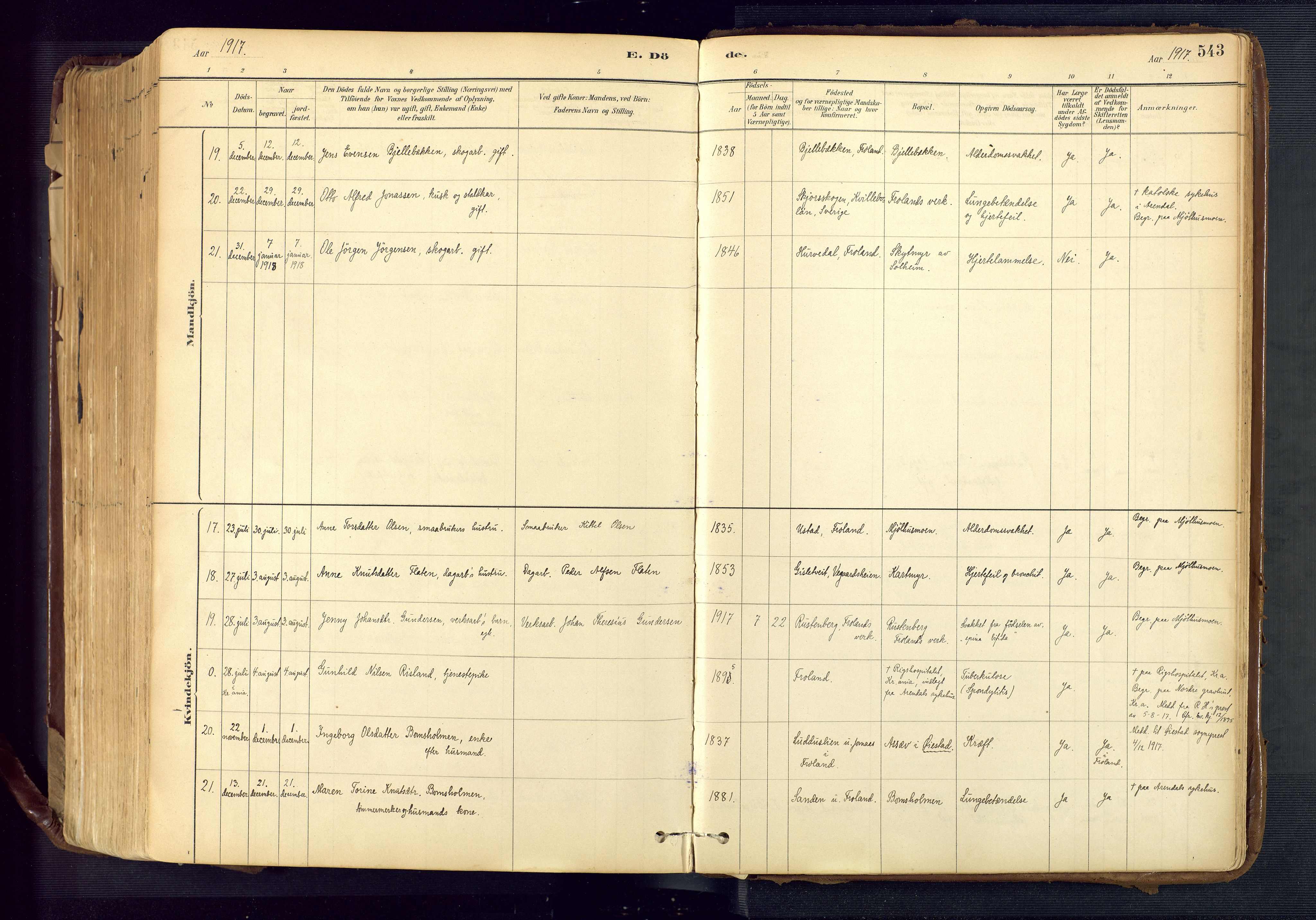 Froland sokneprestkontor, AV/SAK-1111-0013/F/Fa/L0005: Parish register (official) no. A 5, 1882-1921, p. 543