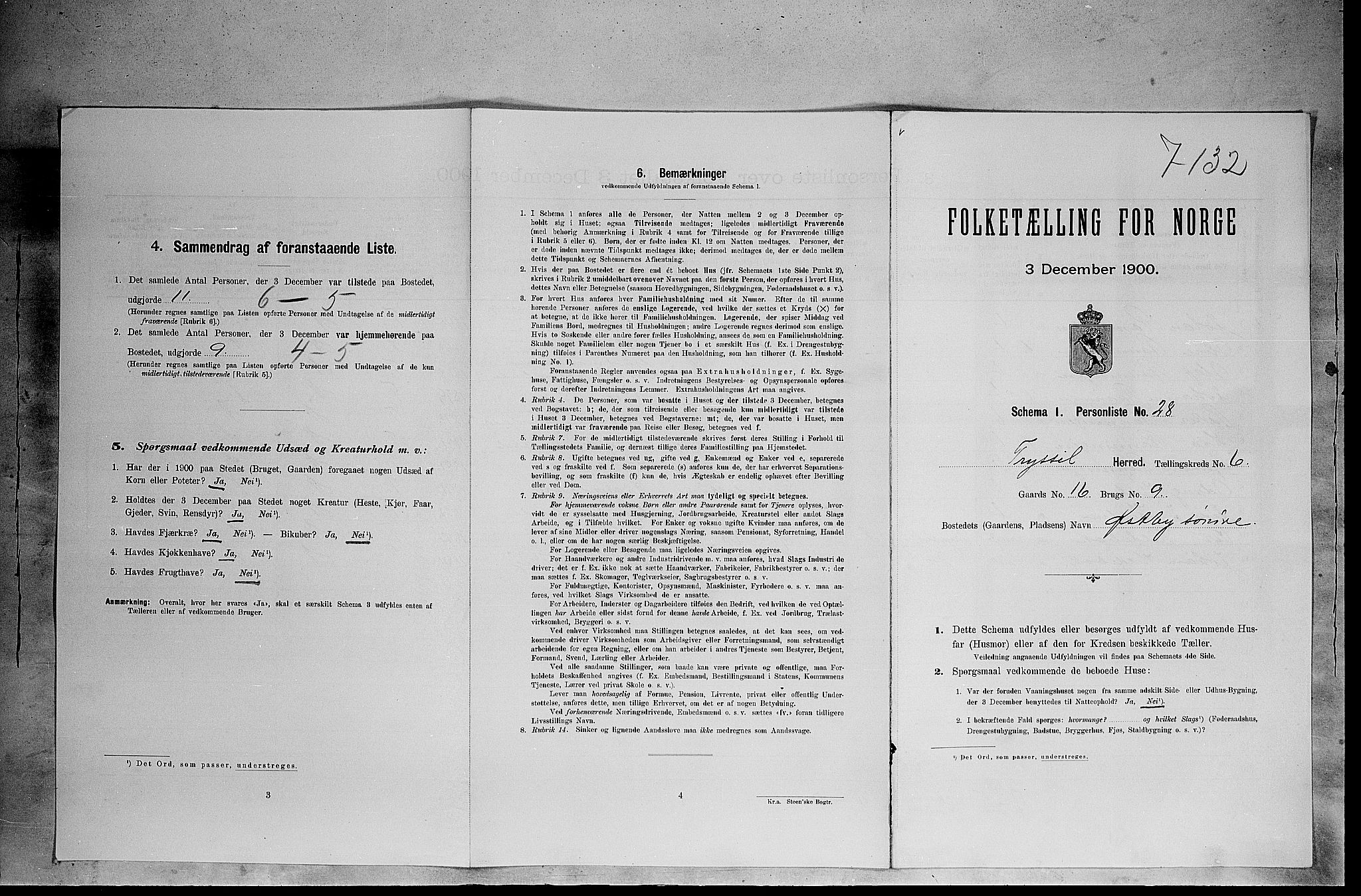 SAH, 1900 census for Trysil, 1900, p. 603