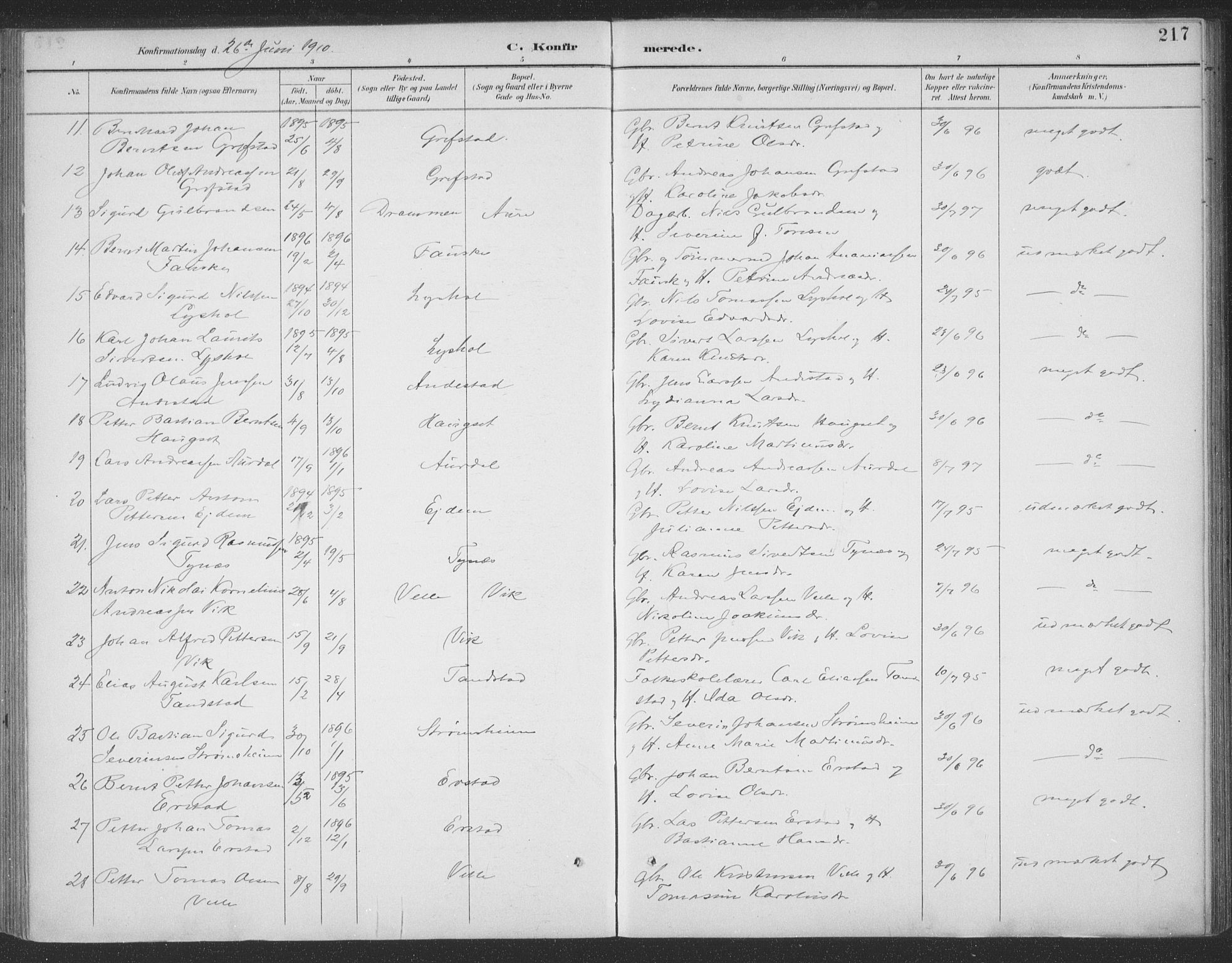 Ministerialprotokoller, klokkerbøker og fødselsregistre - Møre og Romsdal, AV/SAT-A-1454/523/L0335: Parish register (official) no. 523A02, 1891-1911, p. 217