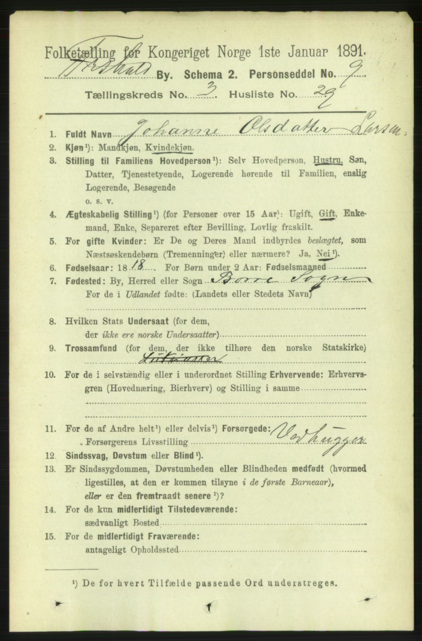 RA, 1891 census for 0101 Fredrikshald, 1891, p. 3540