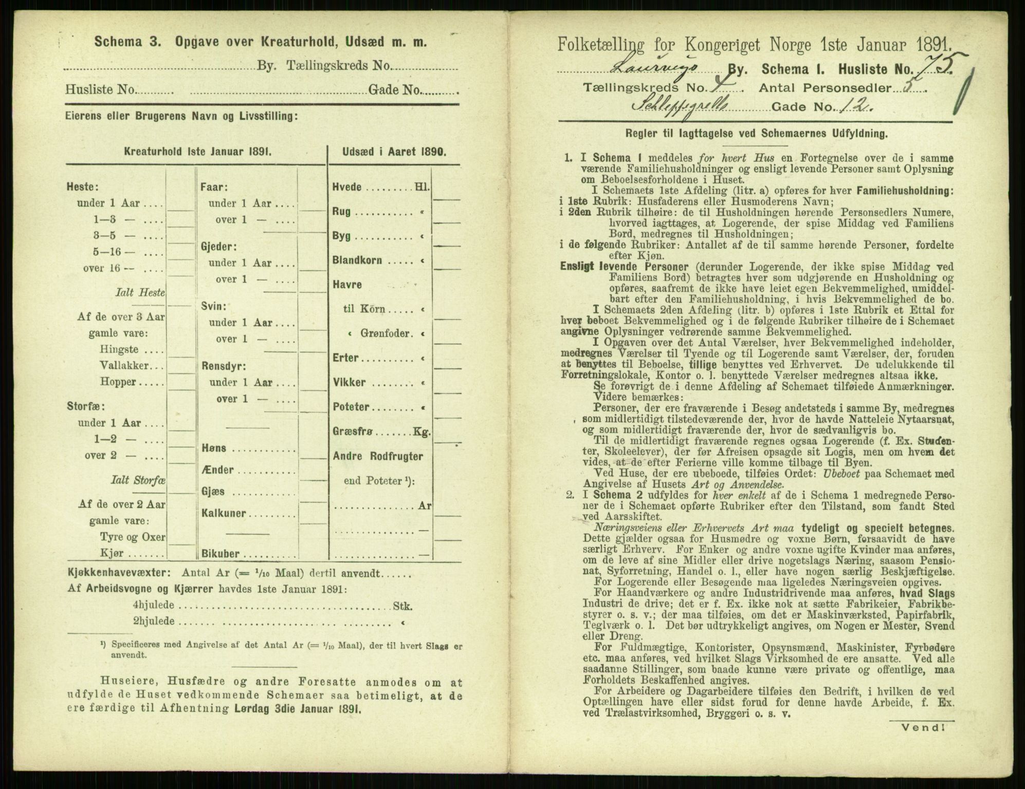 RA, 1891 census for 0707 Larvik, 1891, p. 683