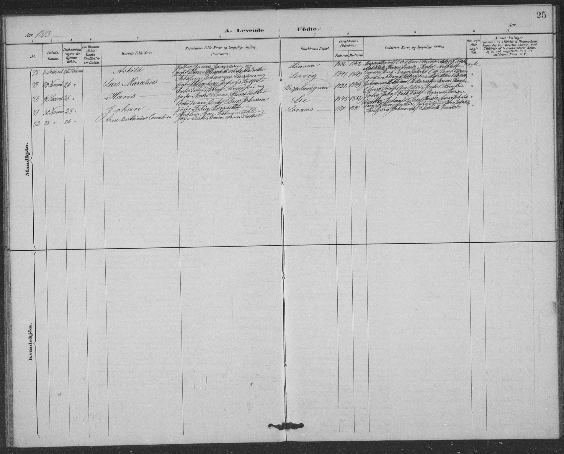 Hetland sokneprestkontor, AV/SAST-A-101826/30/30BB/L0004: Parish register (copy) no. B 4, 1869-1877, p. 25