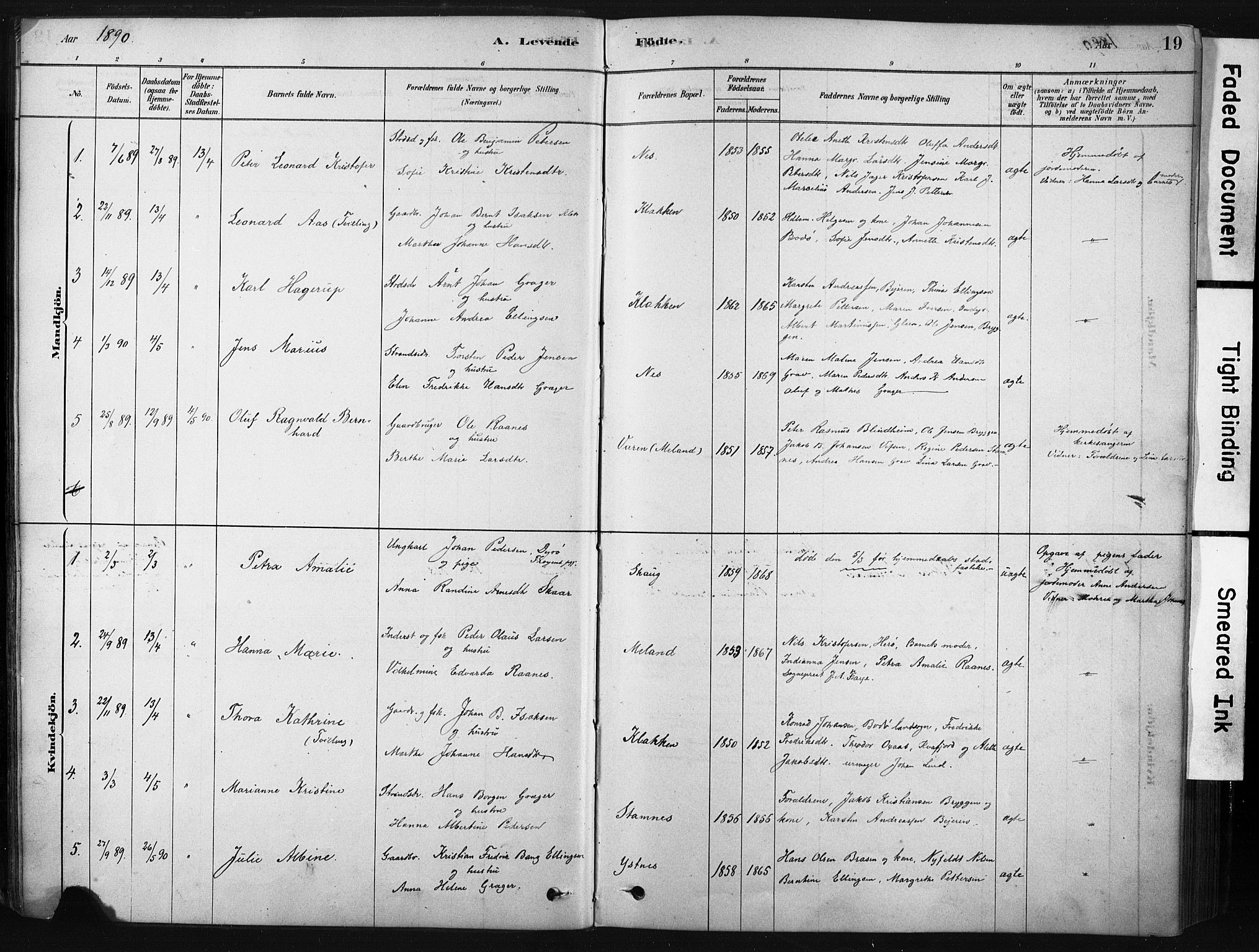 Ministerialprotokoller, klokkerbøker og fødselsregistre - Nordland, AV/SAT-A-1459/808/L0128: Parish register (official) no. 808A01, 1880-1902, p. 19