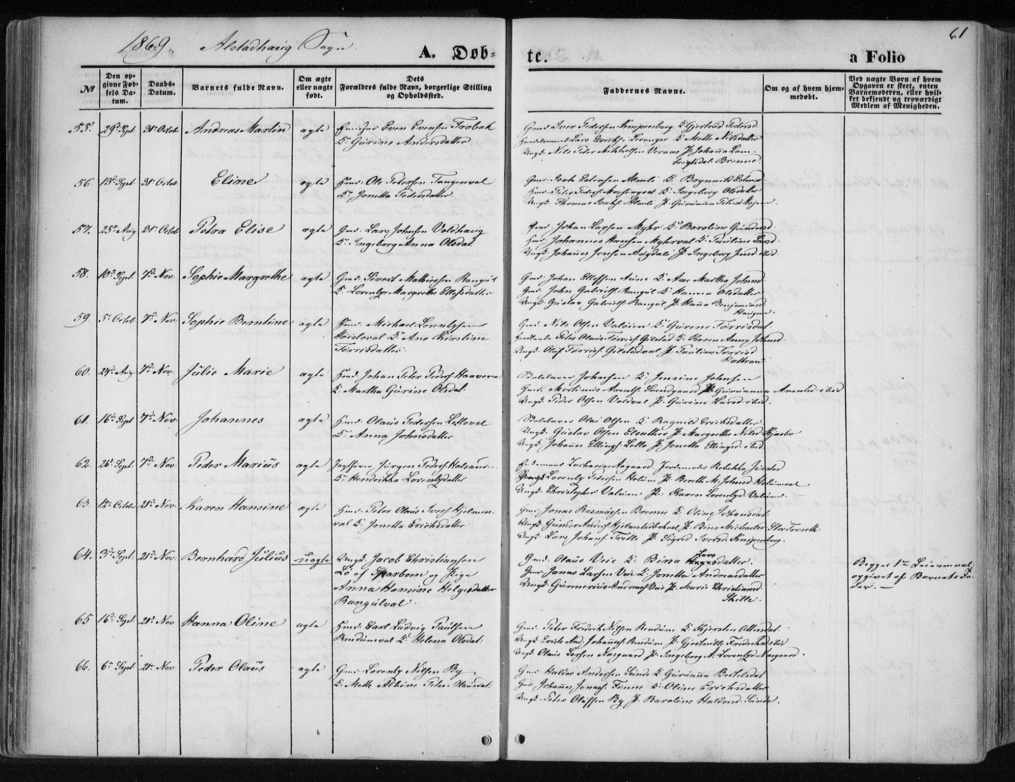 Ministerialprotokoller, klokkerbøker og fødselsregistre - Nord-Trøndelag, SAT/A-1458/717/L0157: Parish register (official) no. 717A08 /1, 1863-1877, p. 61