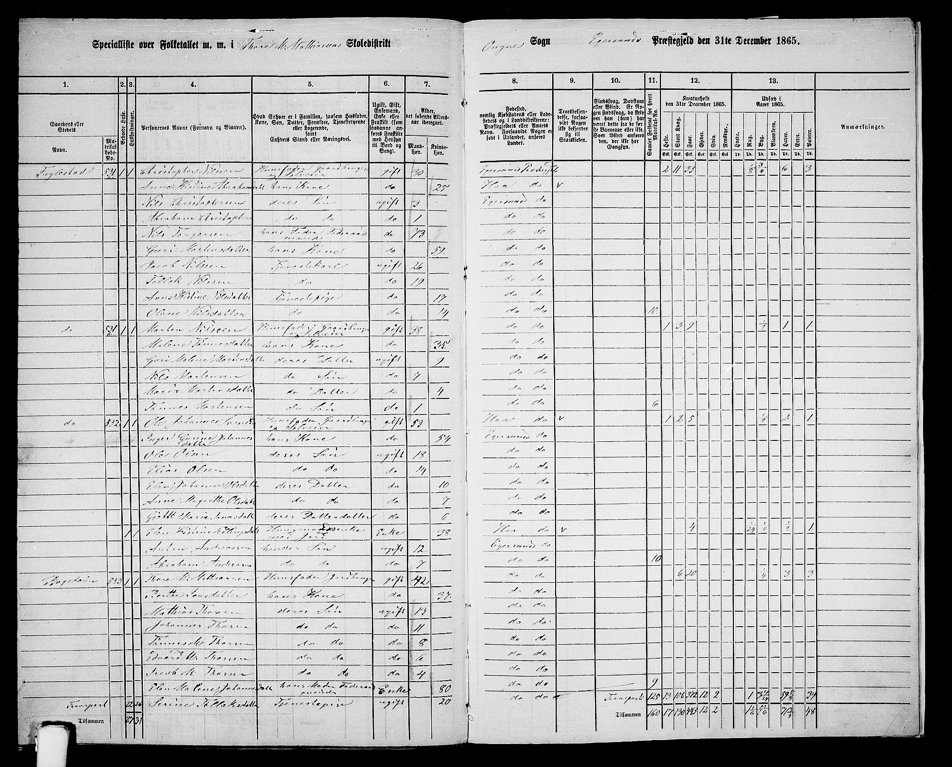 RA, 1865 census for Eigersund/Eigersund og Ogna, 1865, p. 162