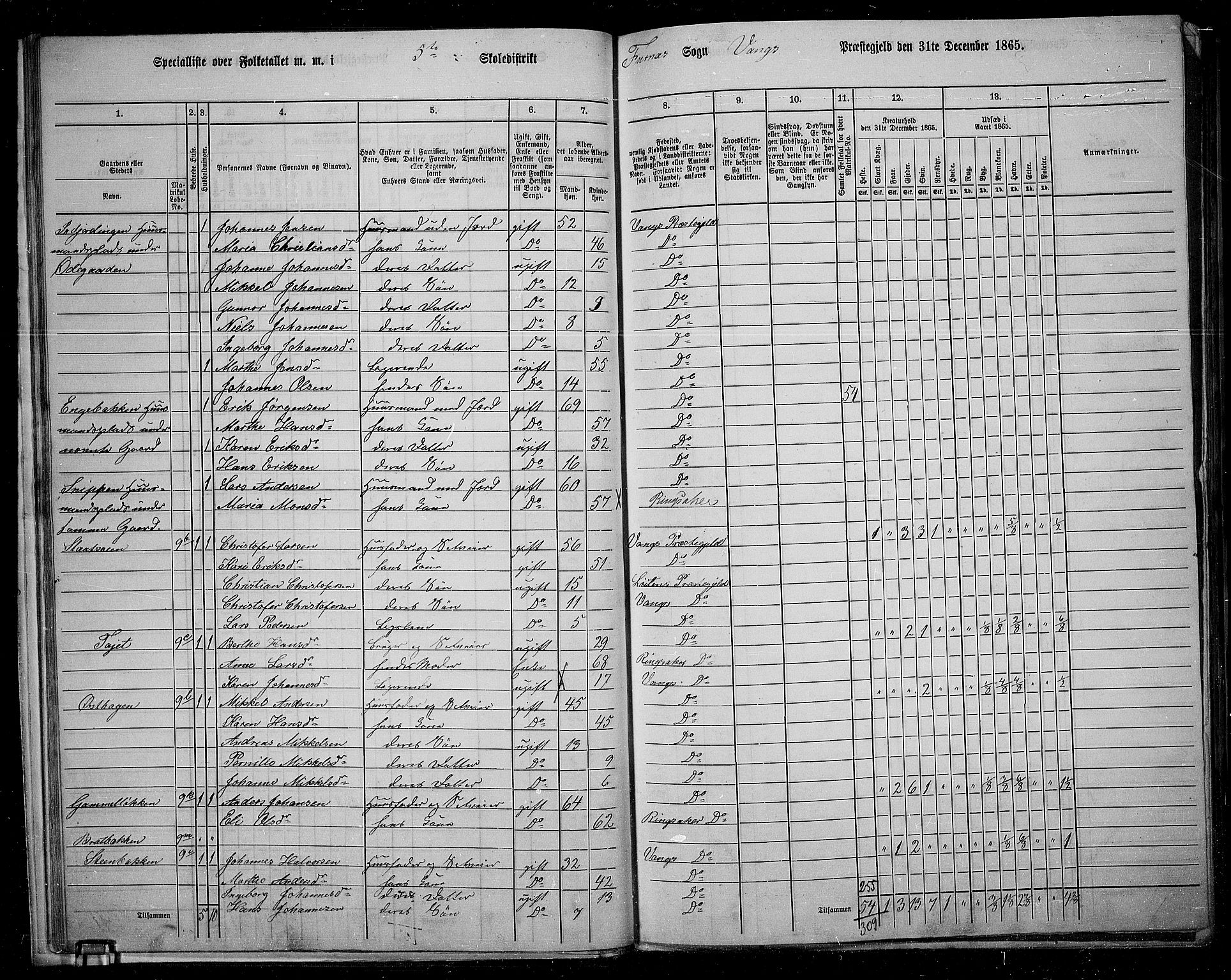 RA, 1865 census for Vang/Vang og Furnes, 1865, p. 24