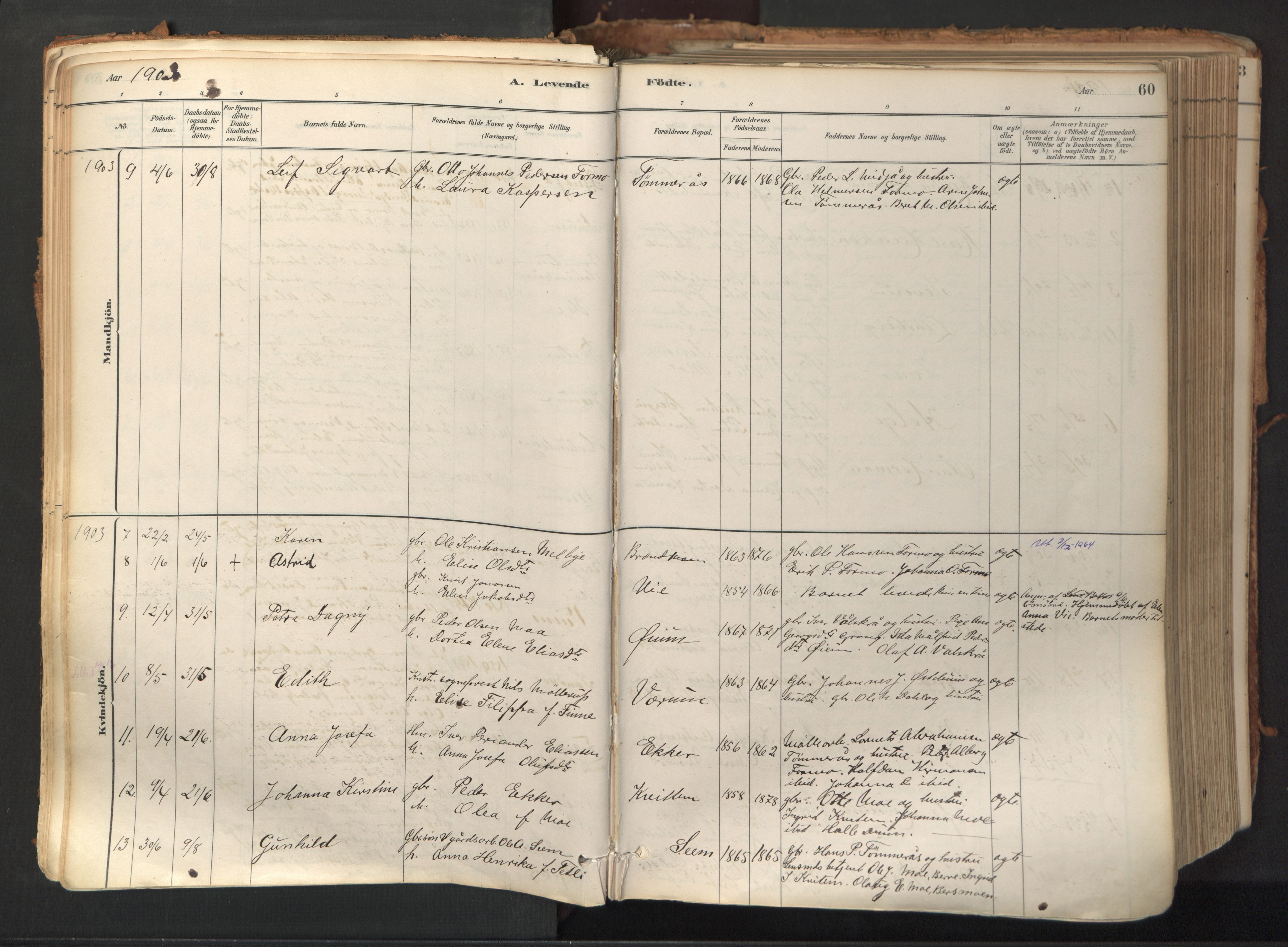 Ministerialprotokoller, klokkerbøker og fødselsregistre - Nord-Trøndelag, SAT/A-1458/758/L0519: Parish register (official) no. 758A04, 1880-1926, p. 60