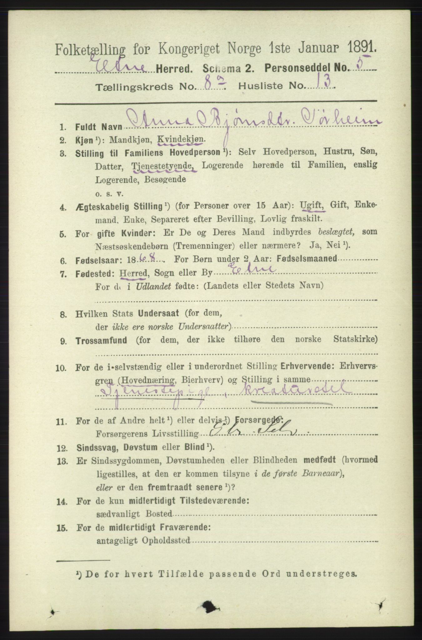 RA, 1891 census for 1211 Etne, 1891, p. 1595