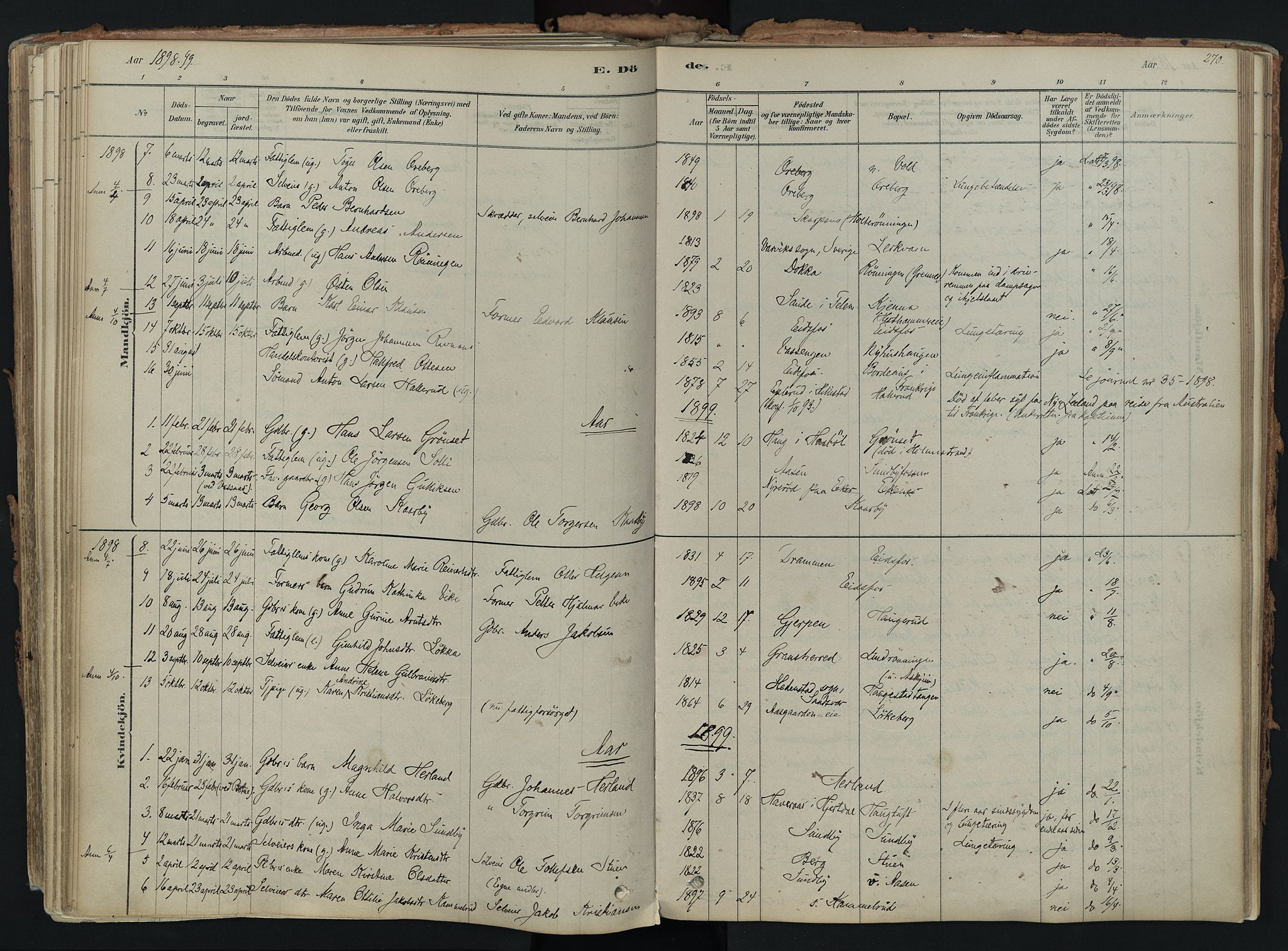 Hof kirkebøker, AV/SAKO-A-64/F/Fa/L0007: Parish register (official) no. I 7, 1878-1940, p. 270