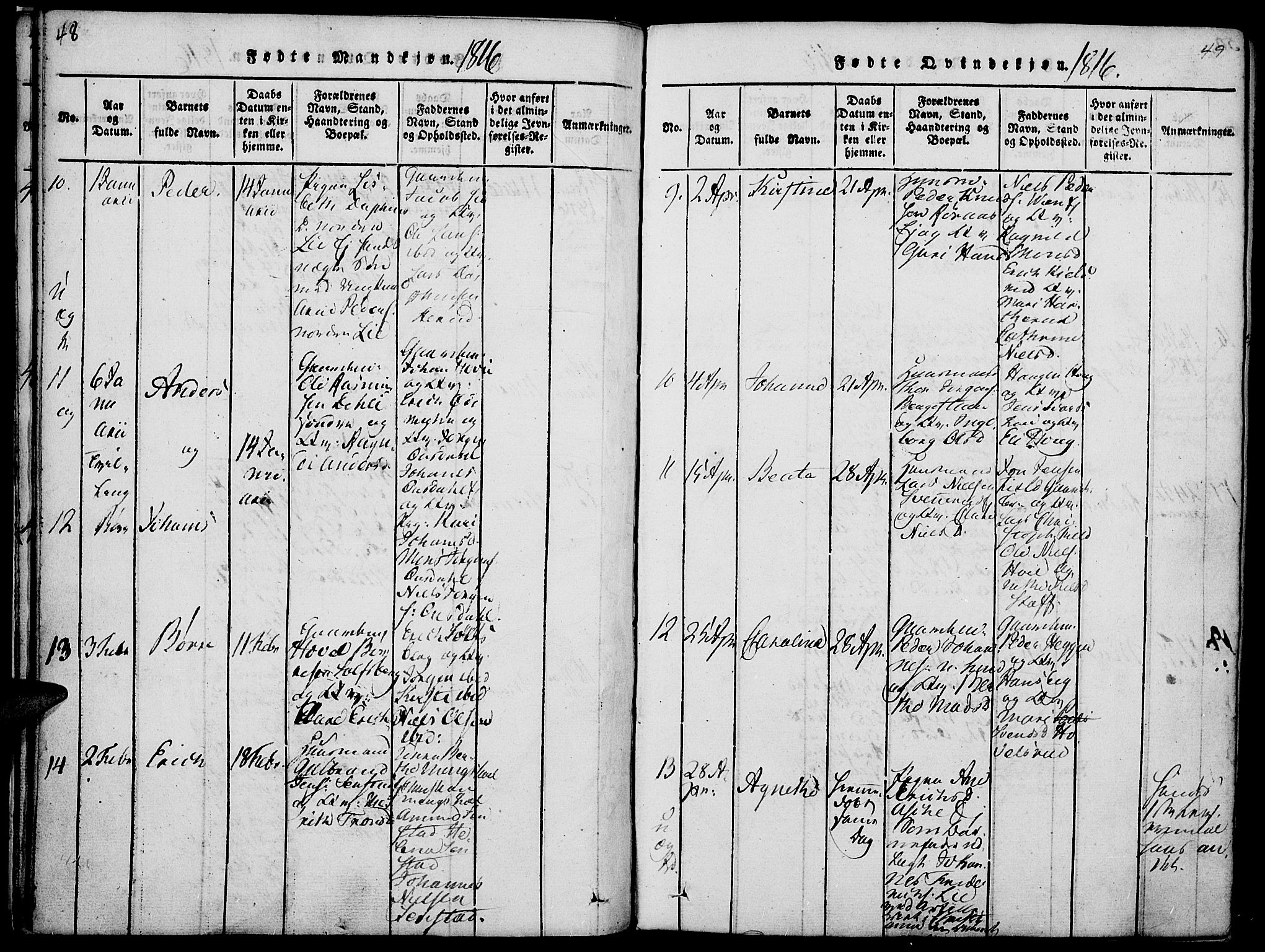 Nes prestekontor, Hedmark, SAH/PREST-020/K/Ka/L0002: Parish register (official) no. 2, 1813-1827, p. 48-49