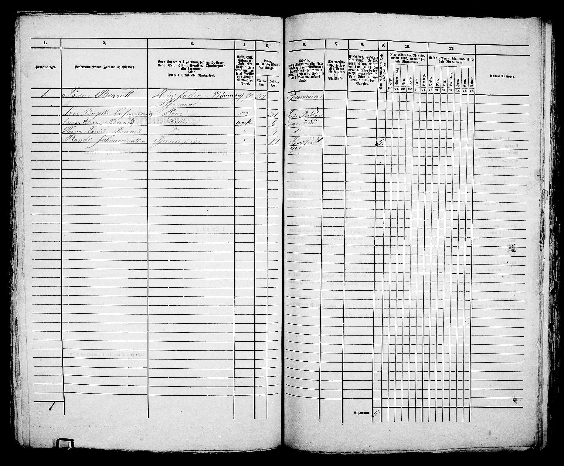 RA, 1865 census for Bragernes in Drammen, 1865, p. 1082