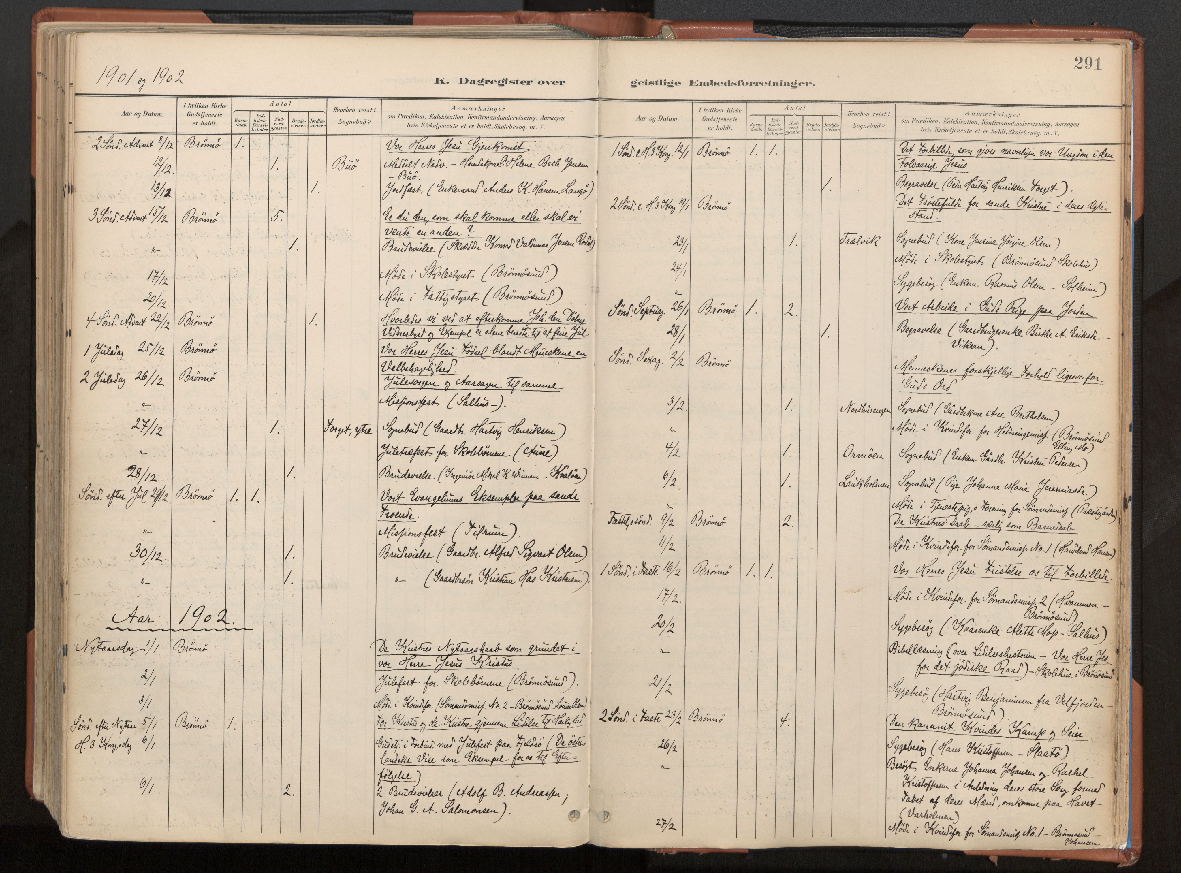 Ministerialprotokoller, klokkerbøker og fødselsregistre - Nordland, AV/SAT-A-1459/813/L0201: Parish register (official) no. 813A11, 1901-1918, p. 291