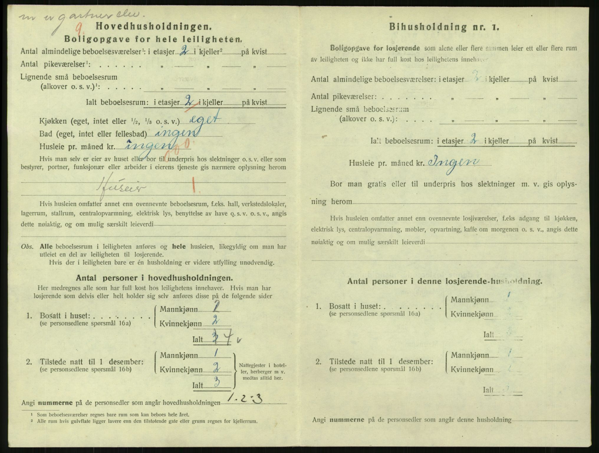 SAKO, 1920 census for Svelvik, 1920, p. 810