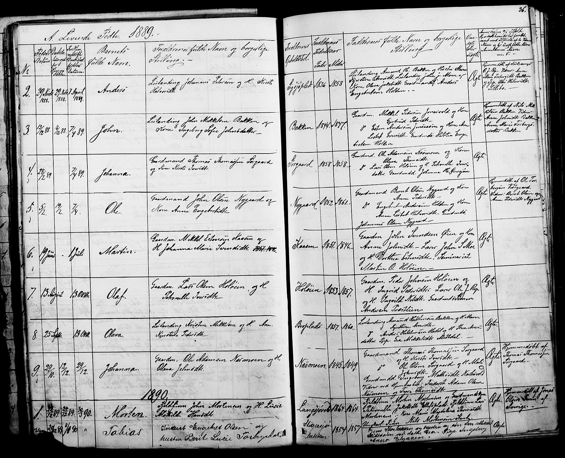 Tolga prestekontor, AV/SAH-PREST-062/L/L0006: Parish register (copy) no. 6, 1864-1894, p. 36