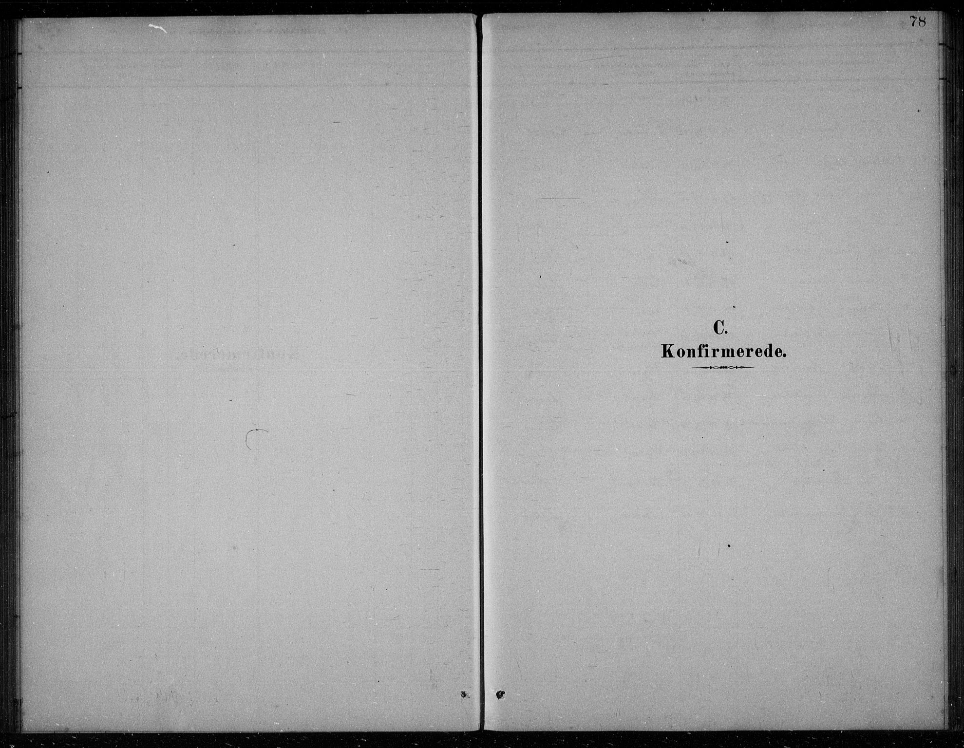 Bakke sokneprestkontor, AV/SAK-1111-0002/F/Fb/Fbb/L0003: Parish register (copy) no. B 3, 1878-1896, p. 78