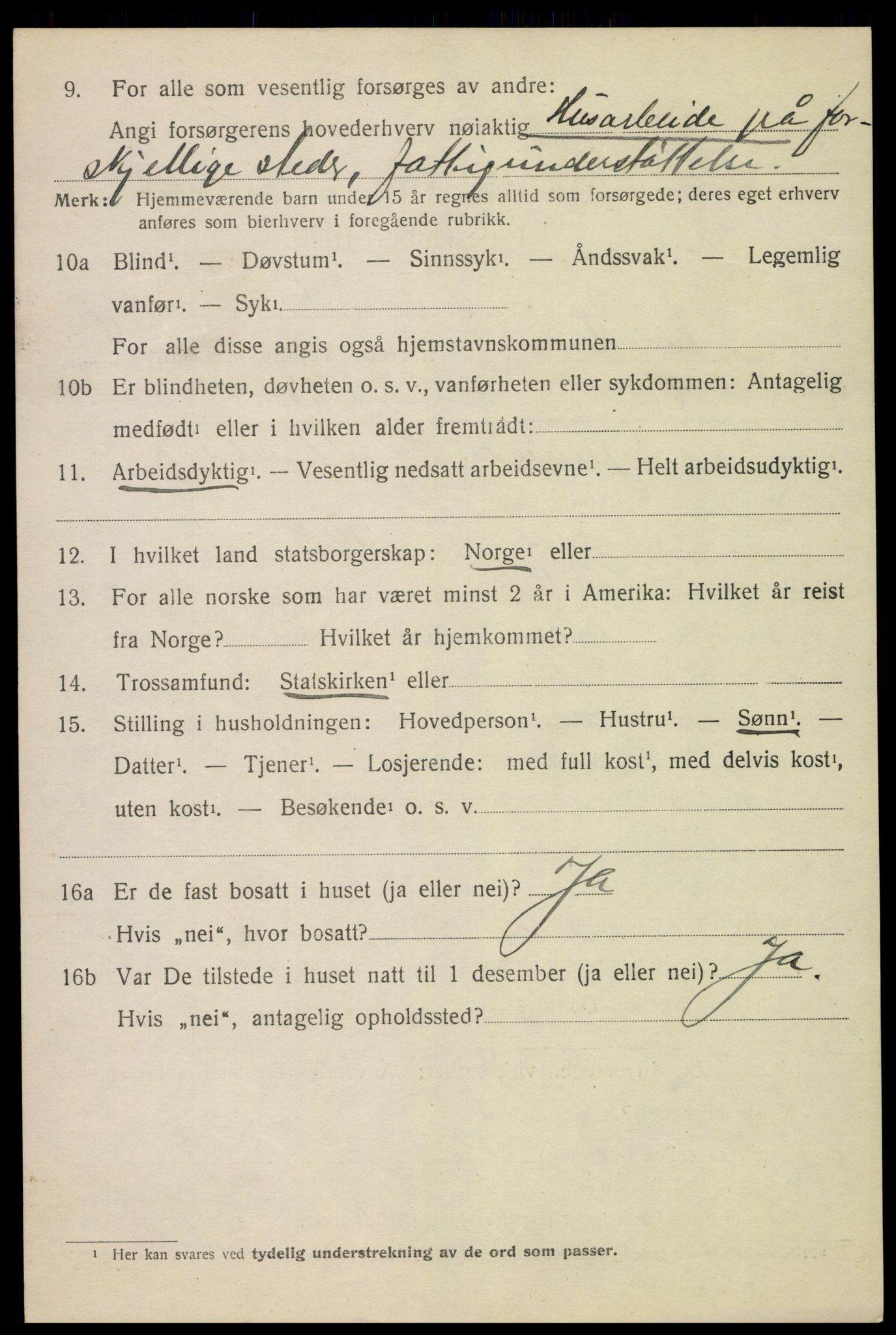 SAH, 1920 census for Nes (Hedmark), 1920, p. 6561