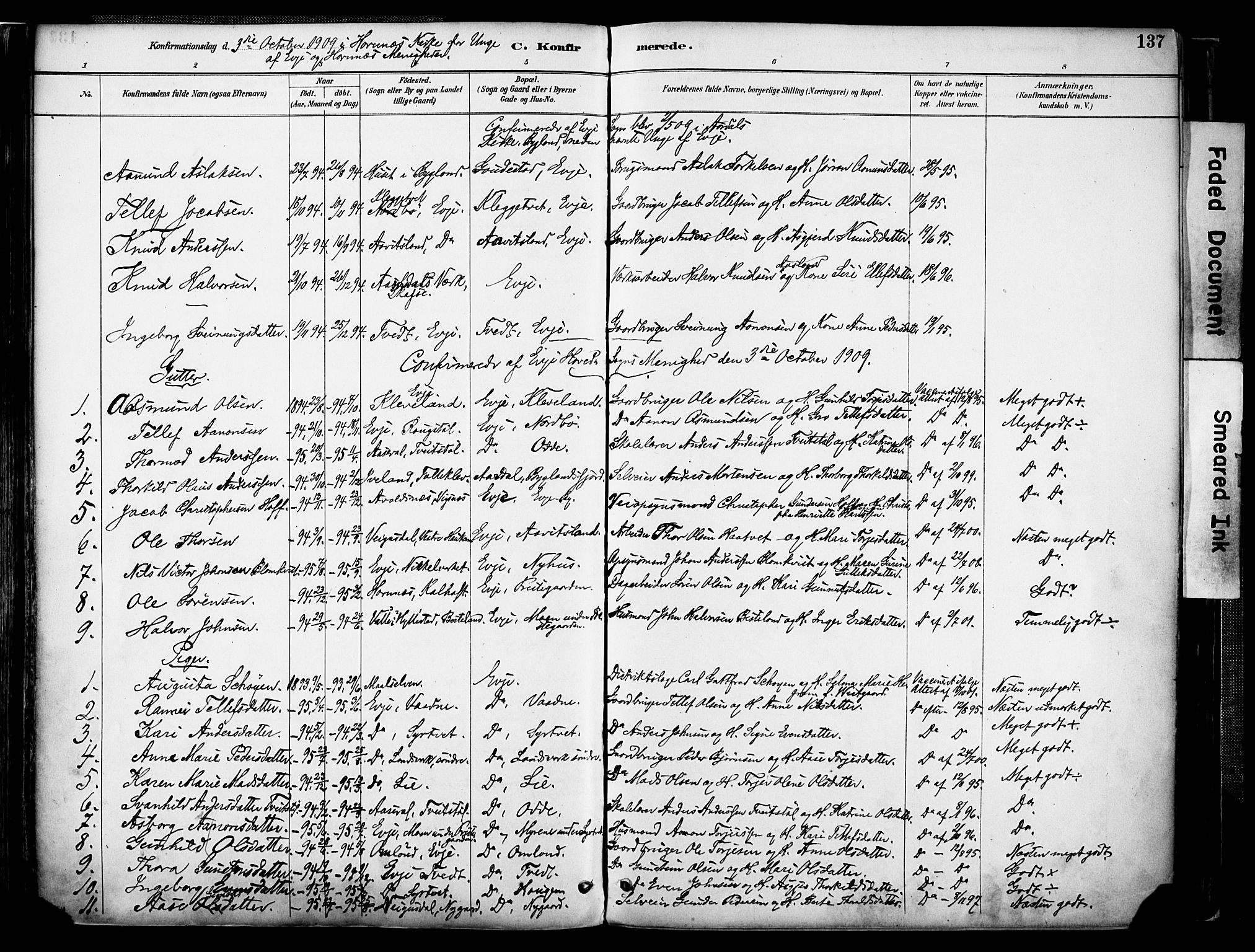 Evje sokneprestkontor, AV/SAK-1111-0008/F/Fa/Faa/L0007: Parish register (official) no. A 7, 1884-1909, p. 137